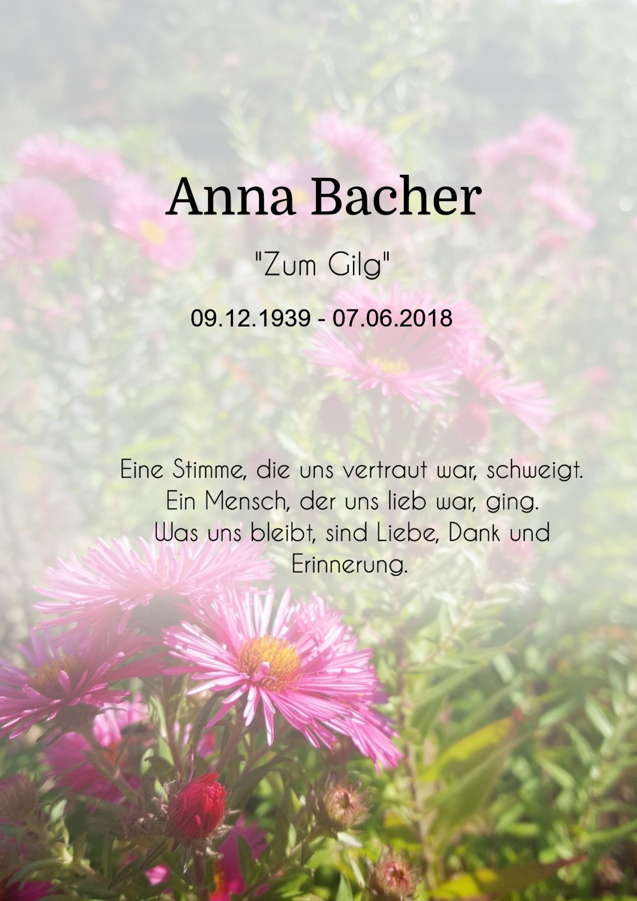 Traueranzeige von Anna Bacher