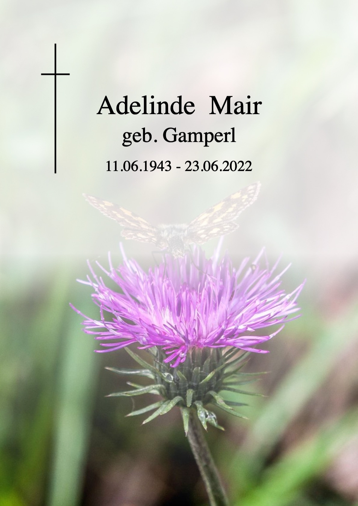 Traueranzeige von Adelinde Mair