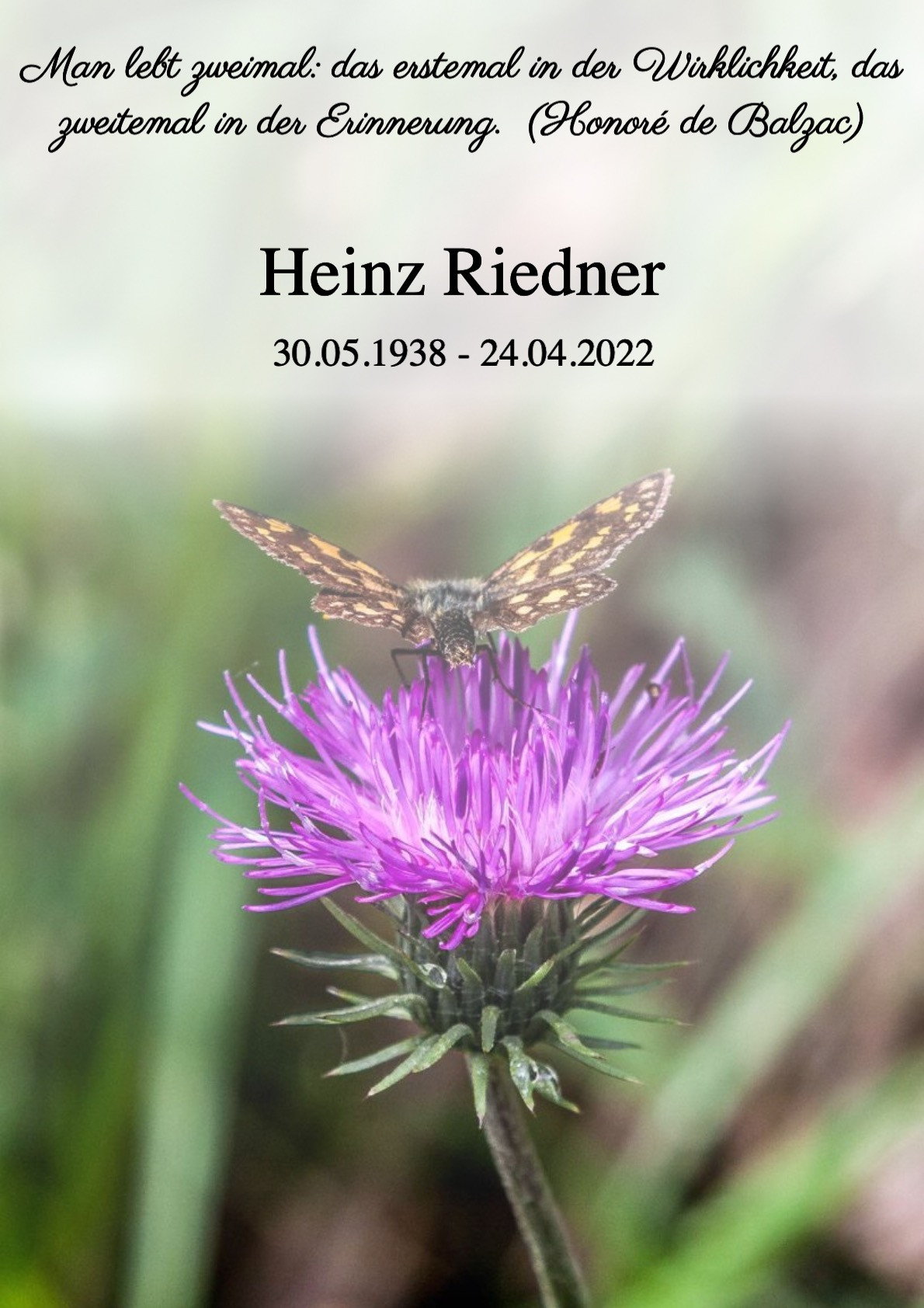 Traueranzeige von Heinz Riedner
