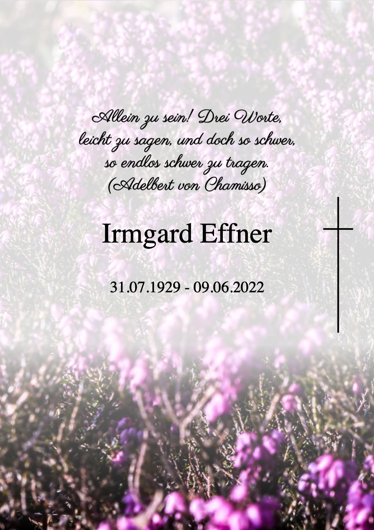 Traueranzeige von Irmgard Effner