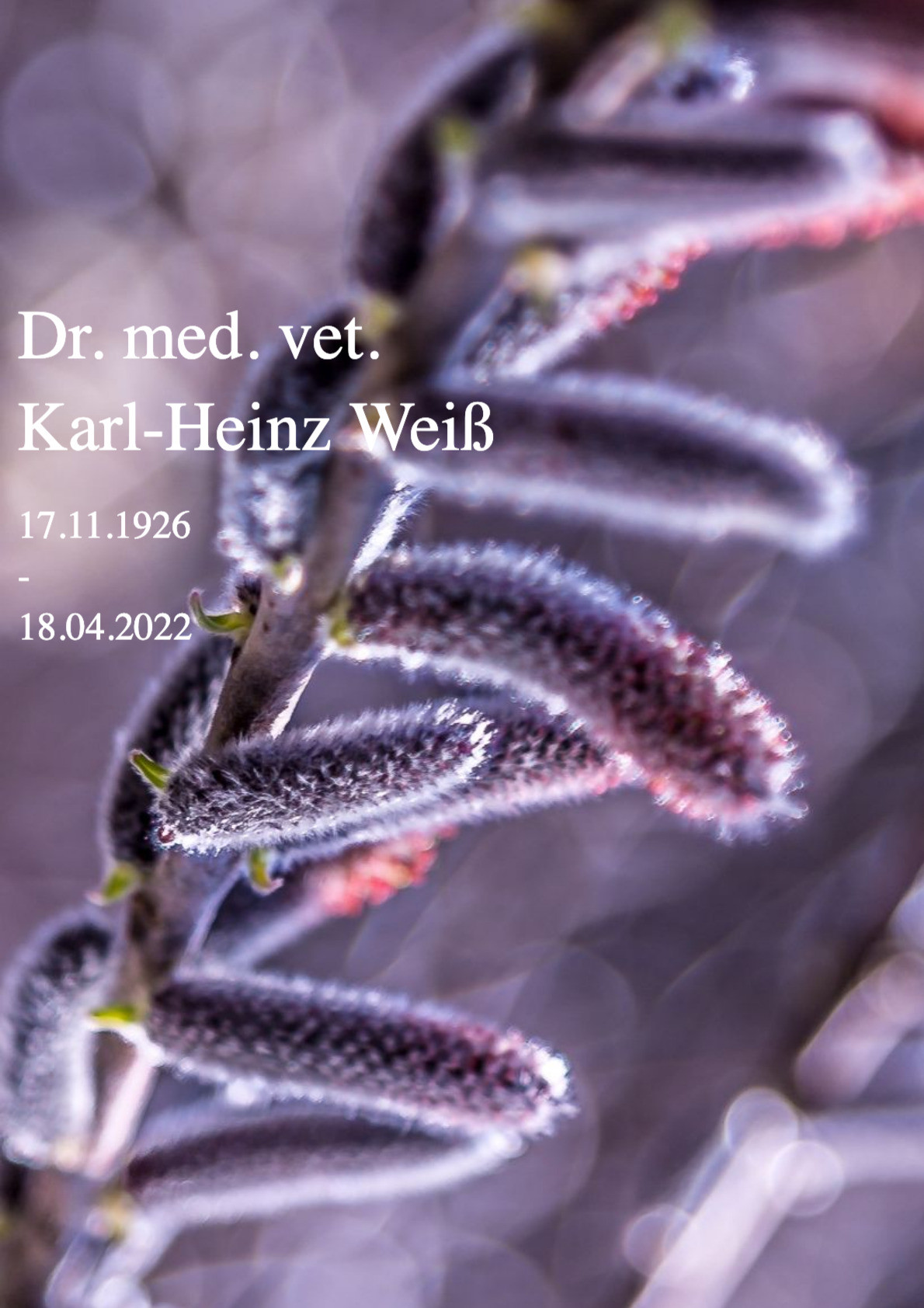 Traueranzeige von Dr. med. vet. Karl-Heinz Weiß