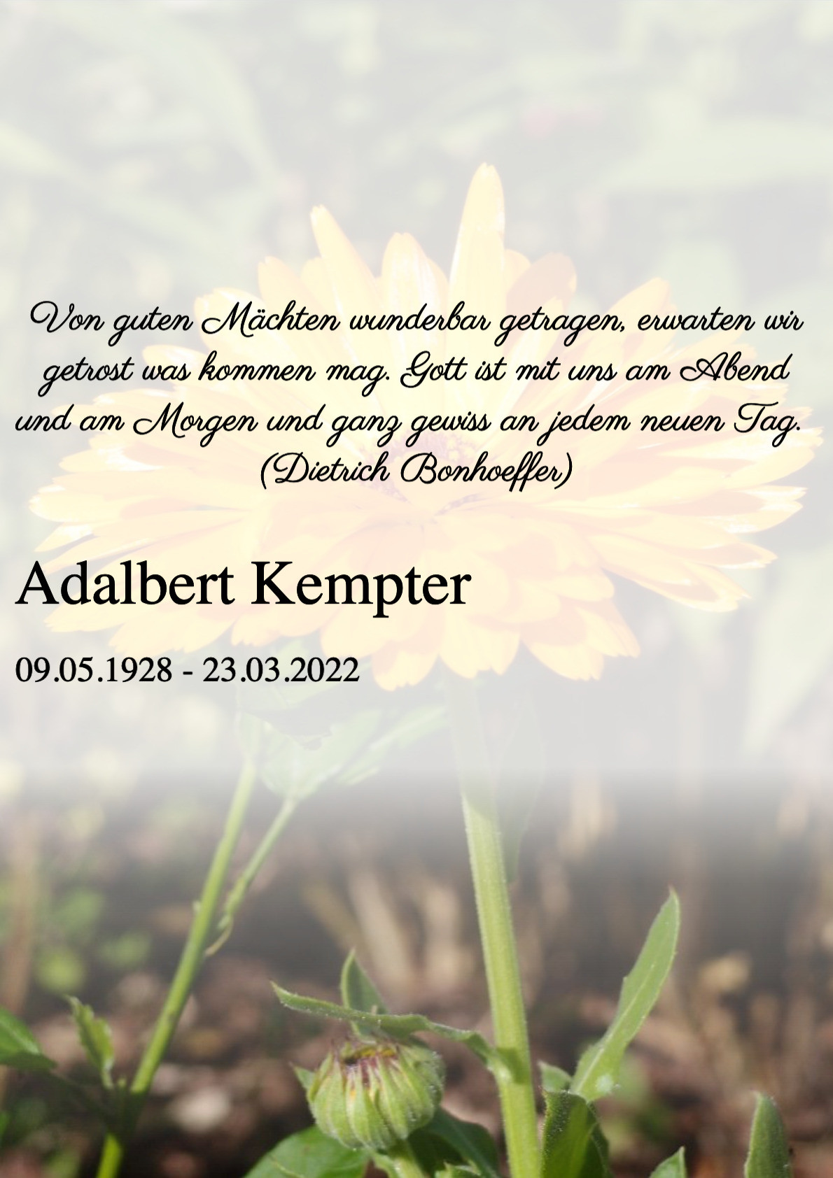 Traueranzeige von Adalbert Kempter