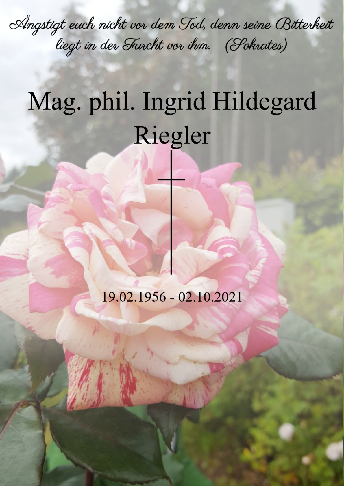Traueranzeige von Mag. phil. Ingrid Hildegard Riegler