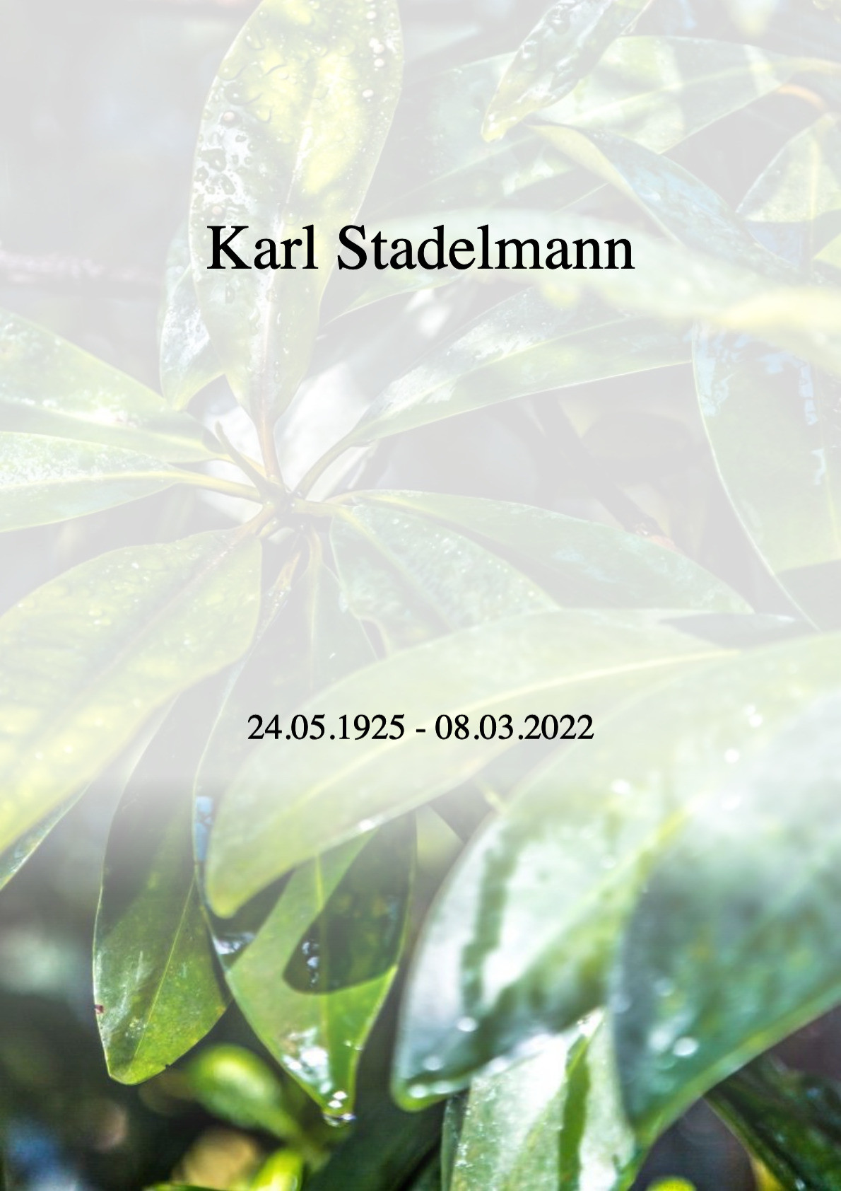 Traueranzeige von Karl Stadelmann