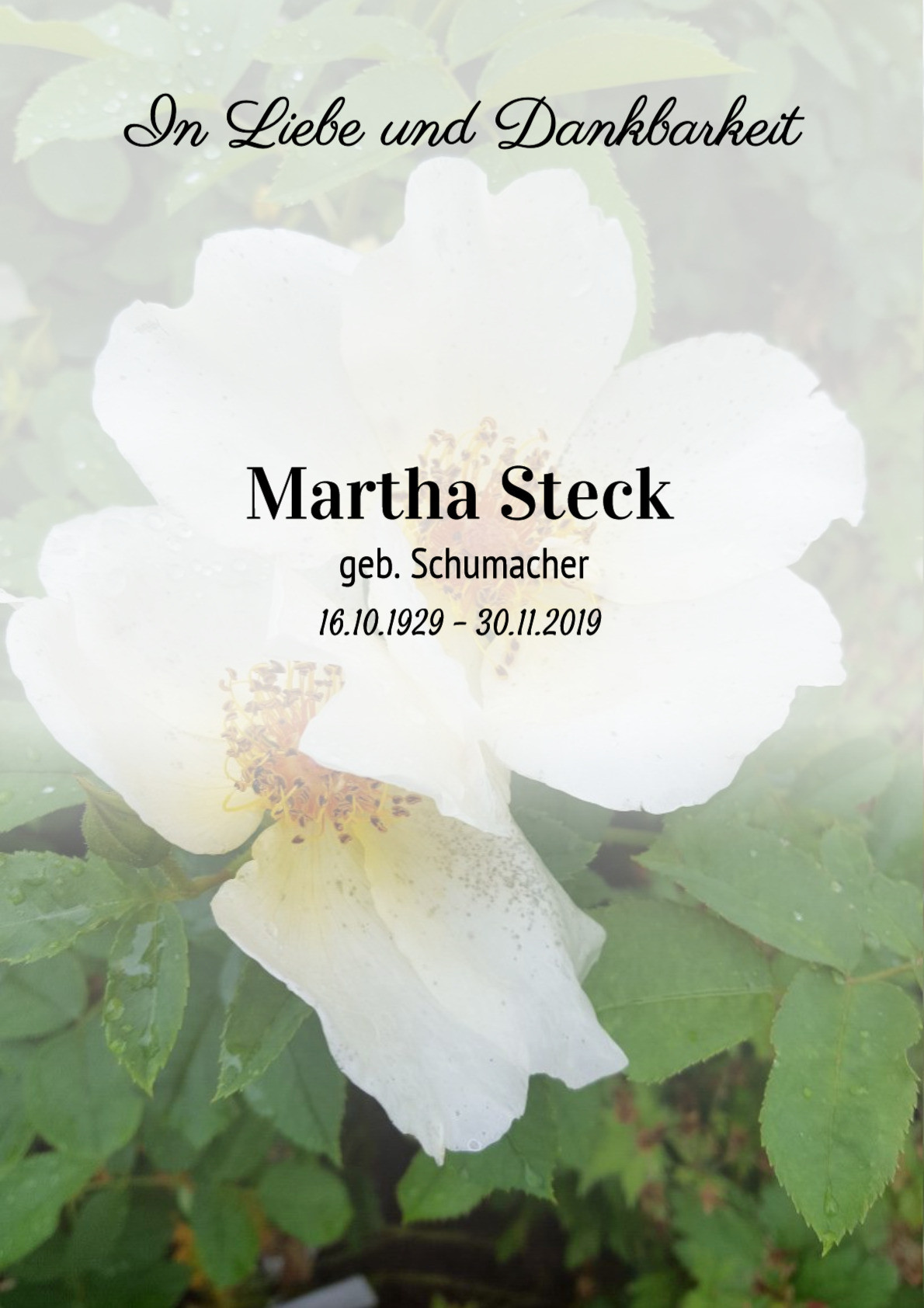 Traueranzeige von Martha Steck