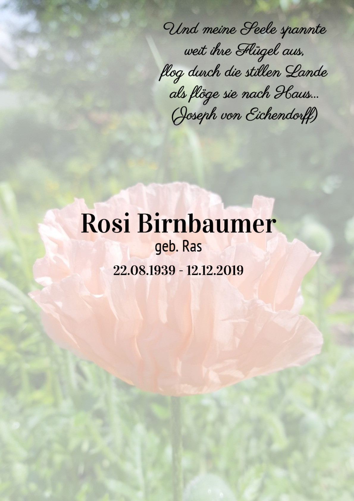Traueranzeige von Rosi Birnbaumer