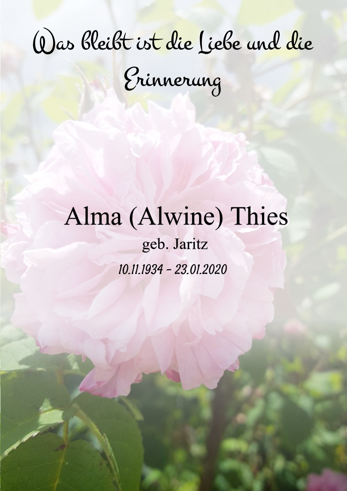 Traueranzeige von Alma (Alwine) Thies
