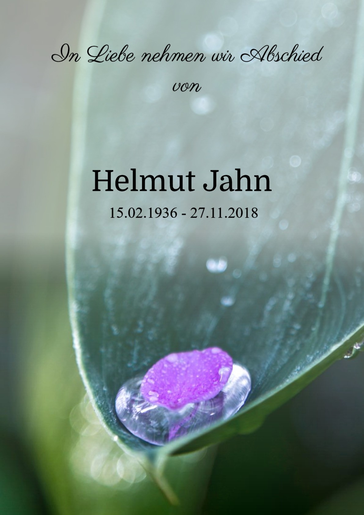 Traueranzeige von Helmut Jahn