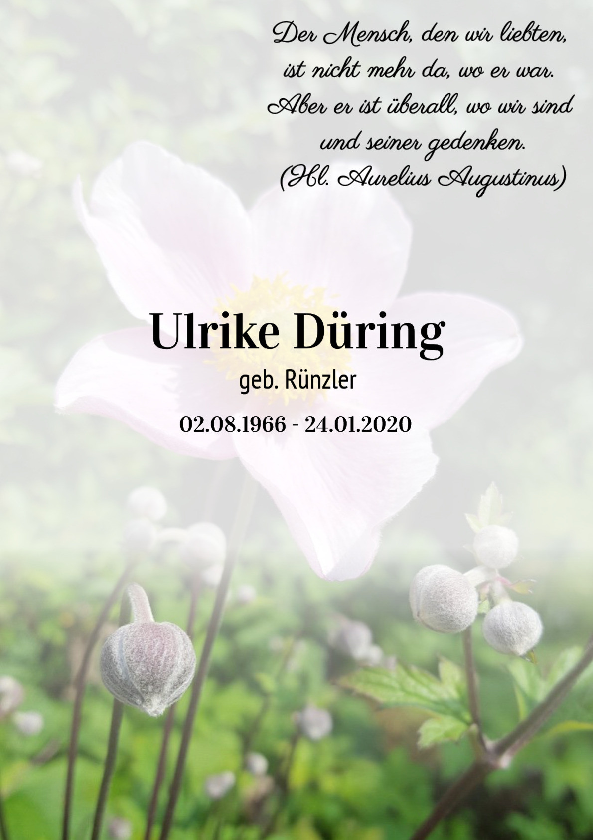 Traueranzeige von Ulrike Düring