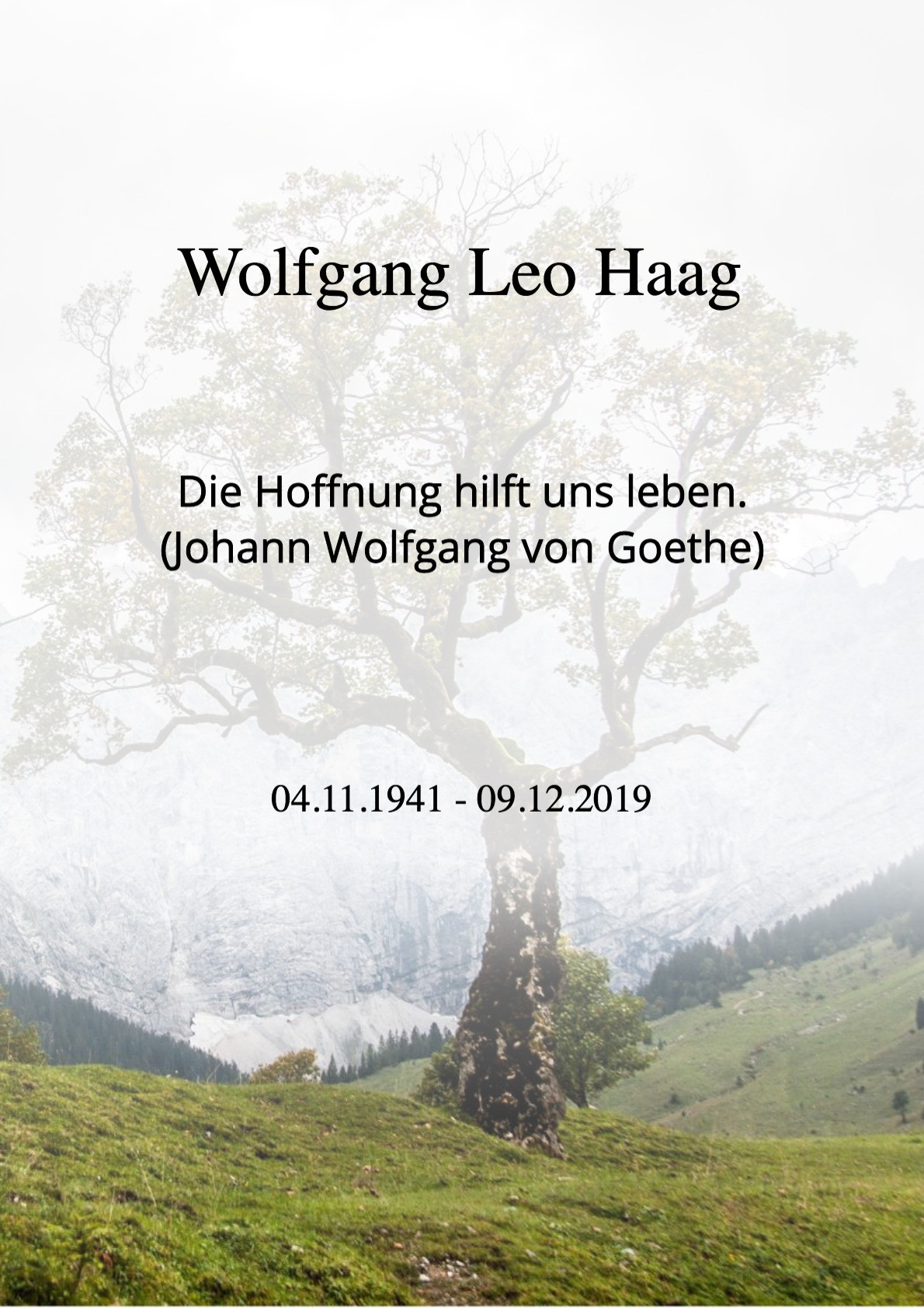 Traueranzeige von Wolfgang Leo Haag