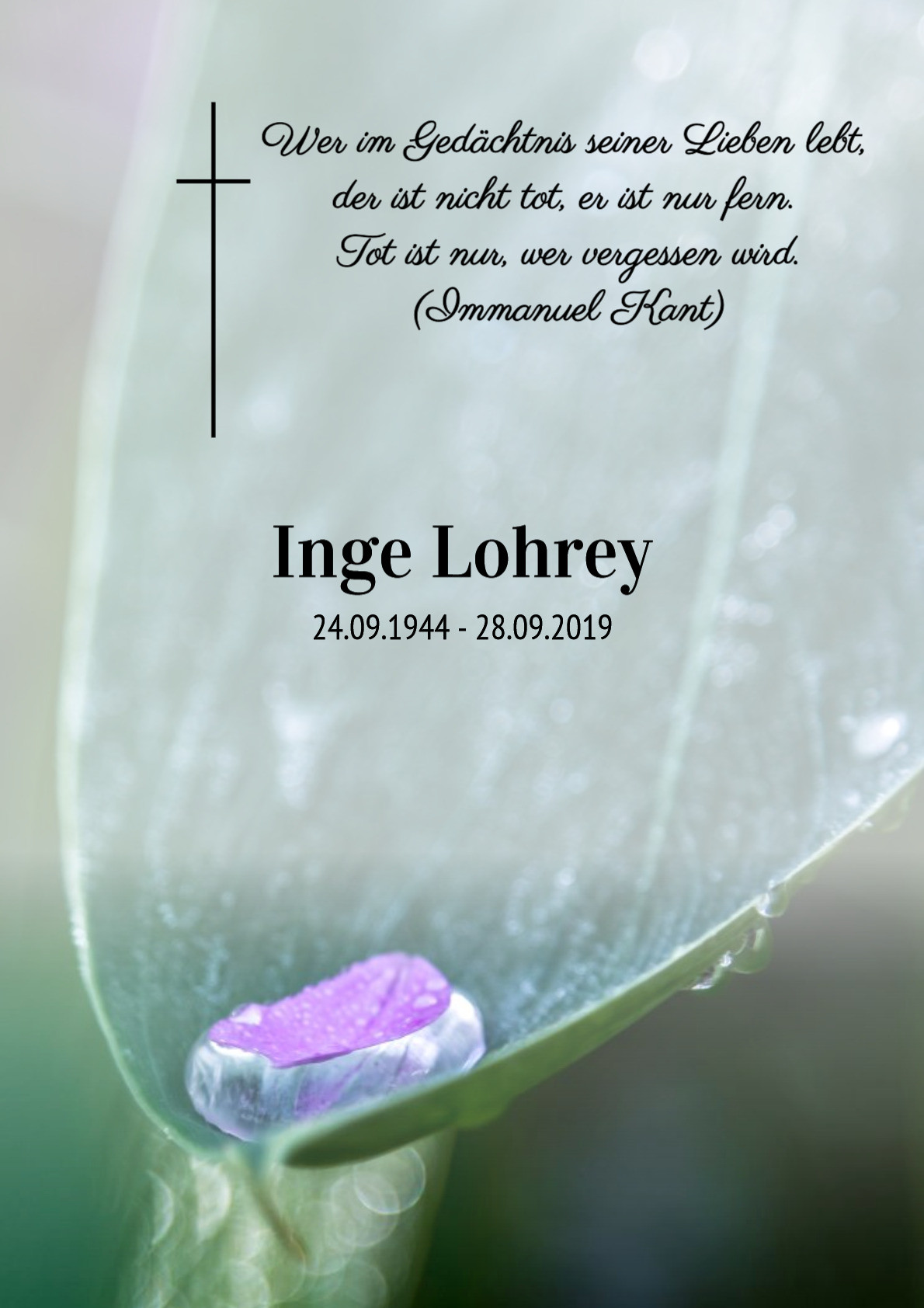 Traueranzeige von Inge Lohrey