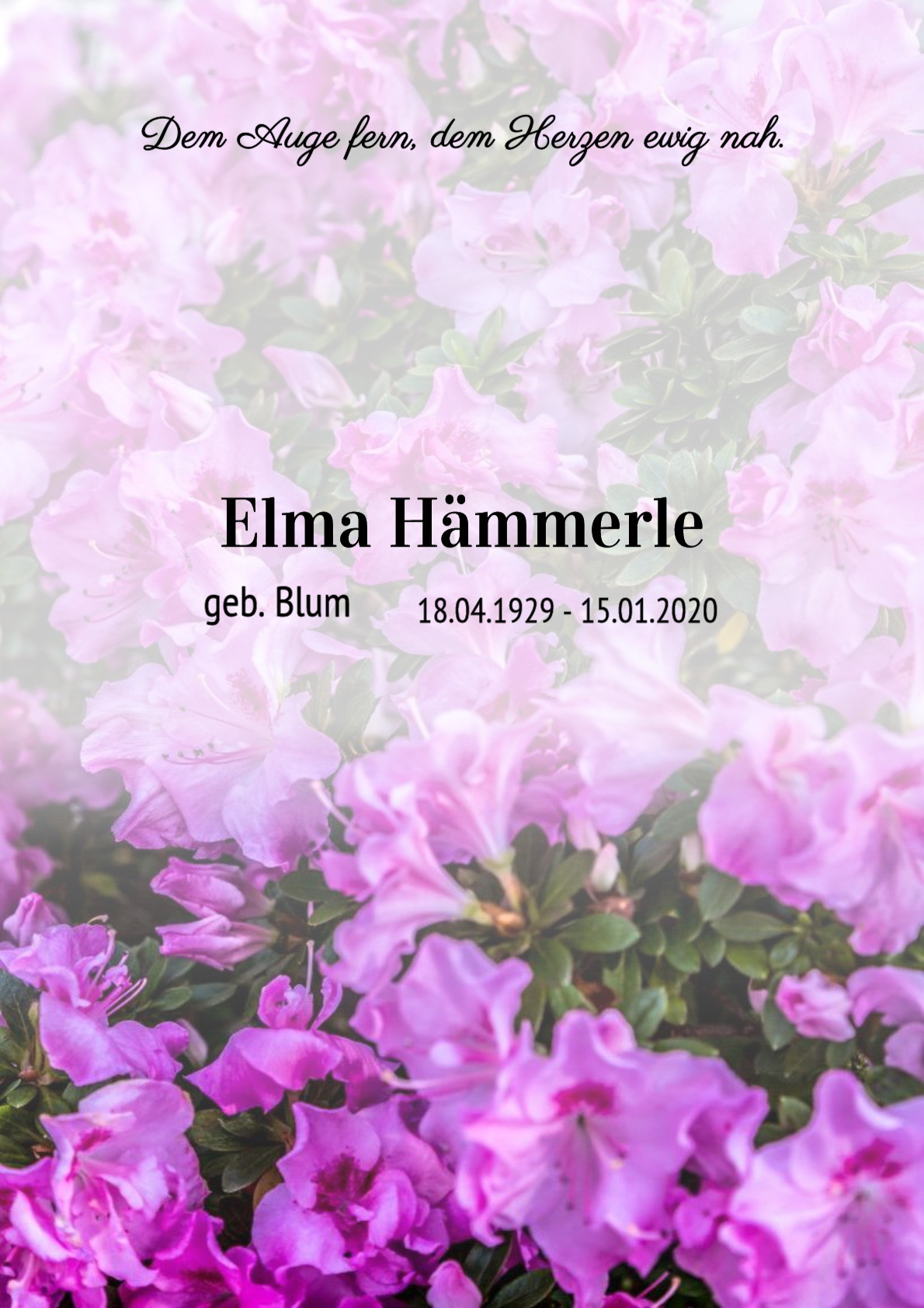 Traueranzeige von Elma Hämmerle