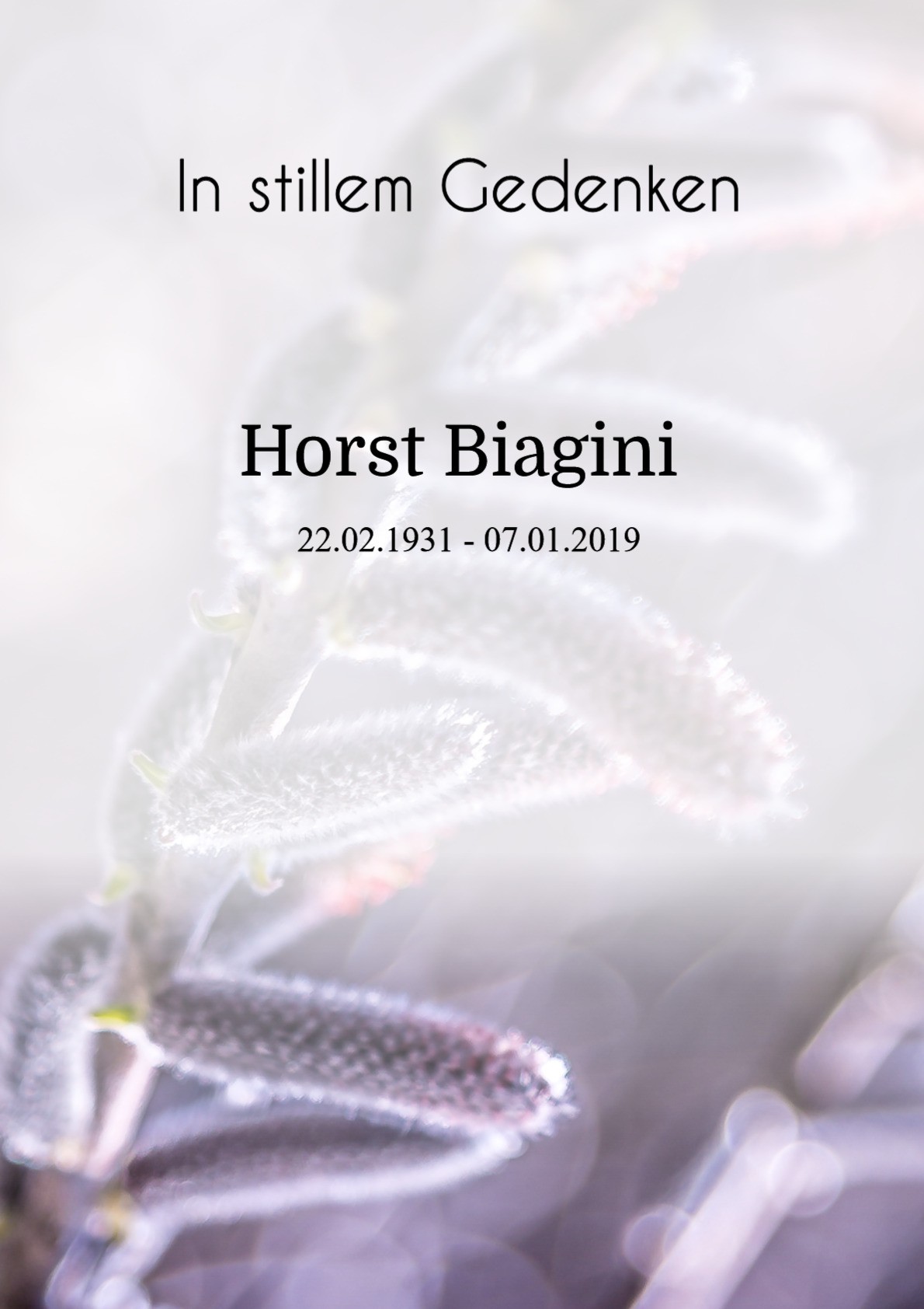 Traueranzeige von Horst Biagini