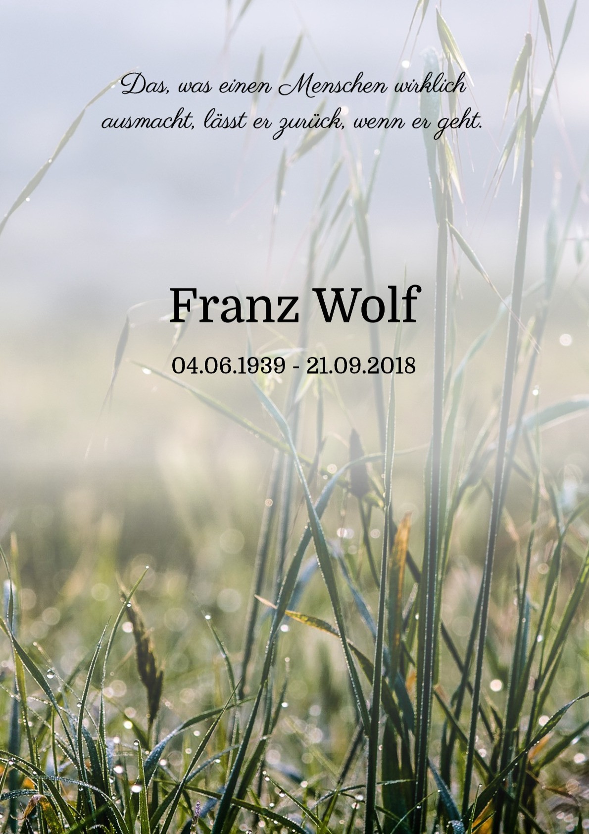 Traueranzeige von Franz Wolf