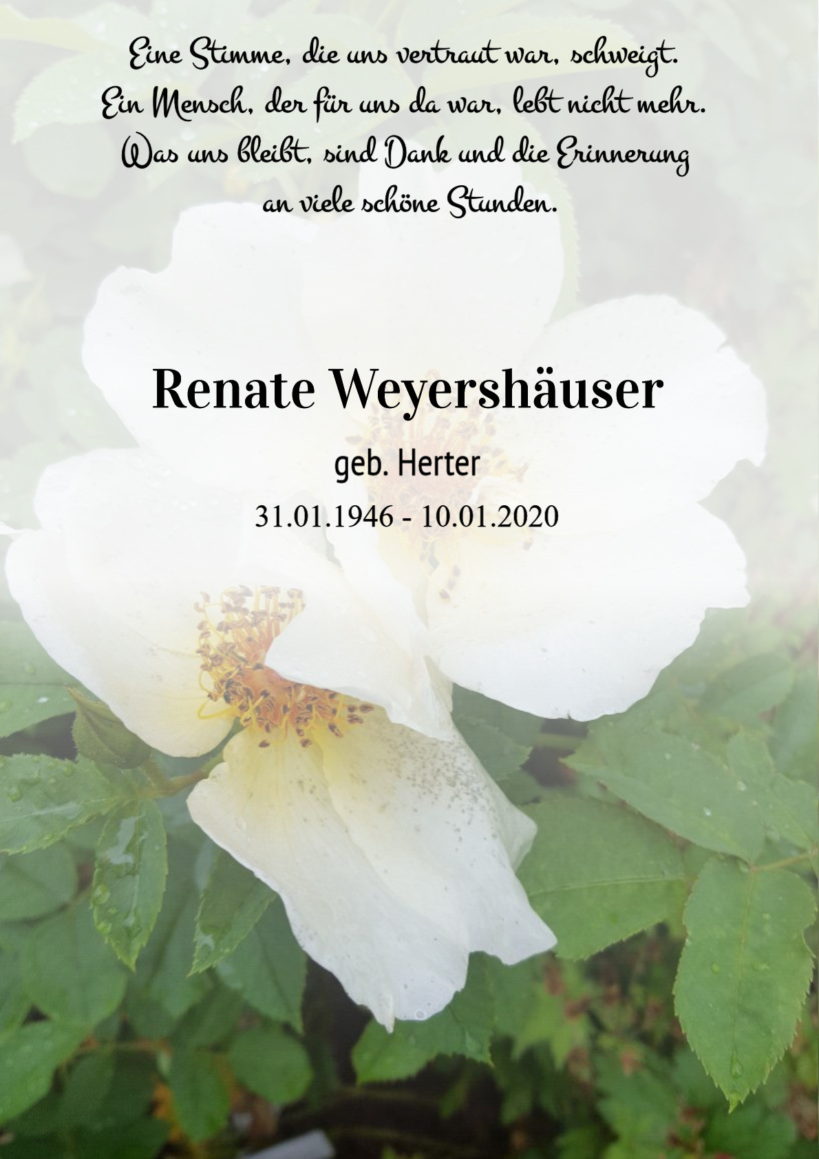 Traueranzeige von Renate Weyershäuser