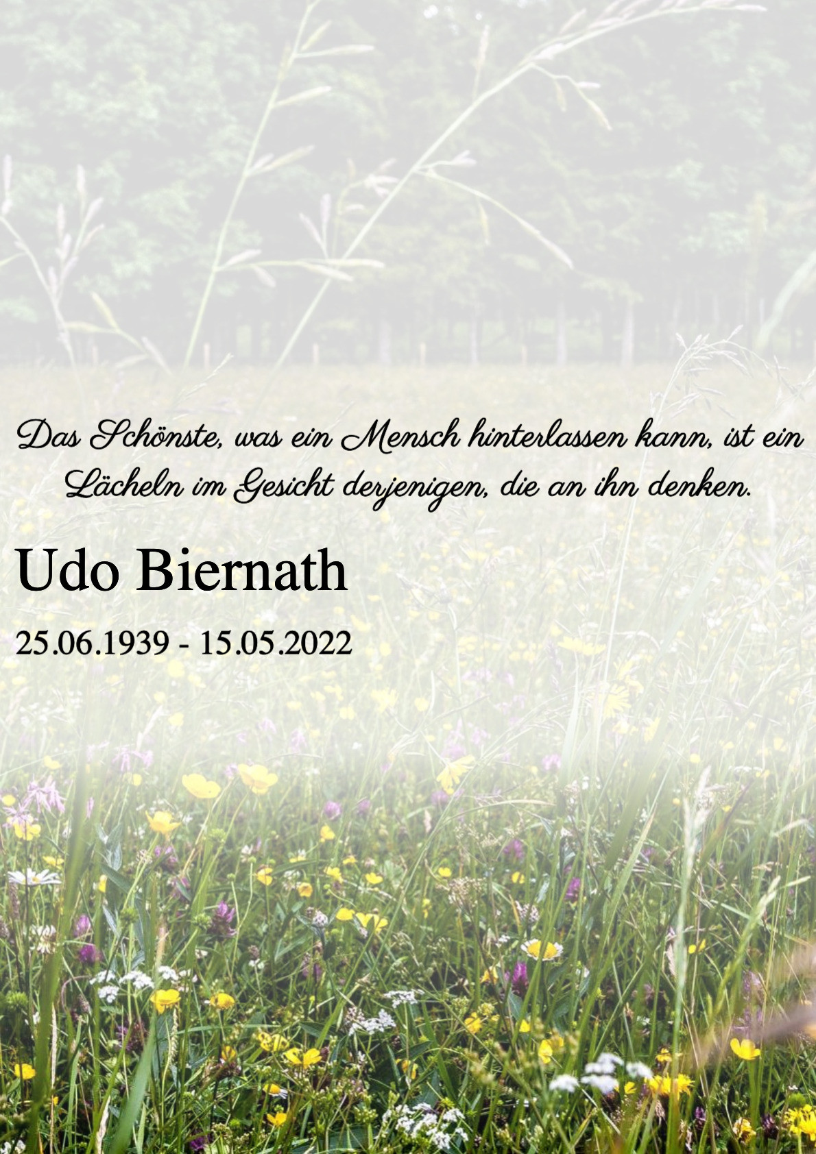 Traueranzeige von Udo Biernath