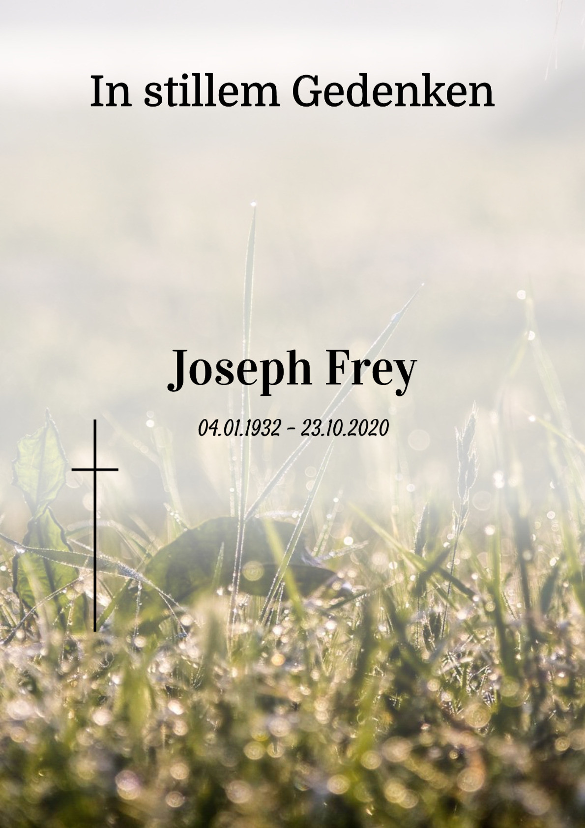 Traueranzeige von Joseph Frey