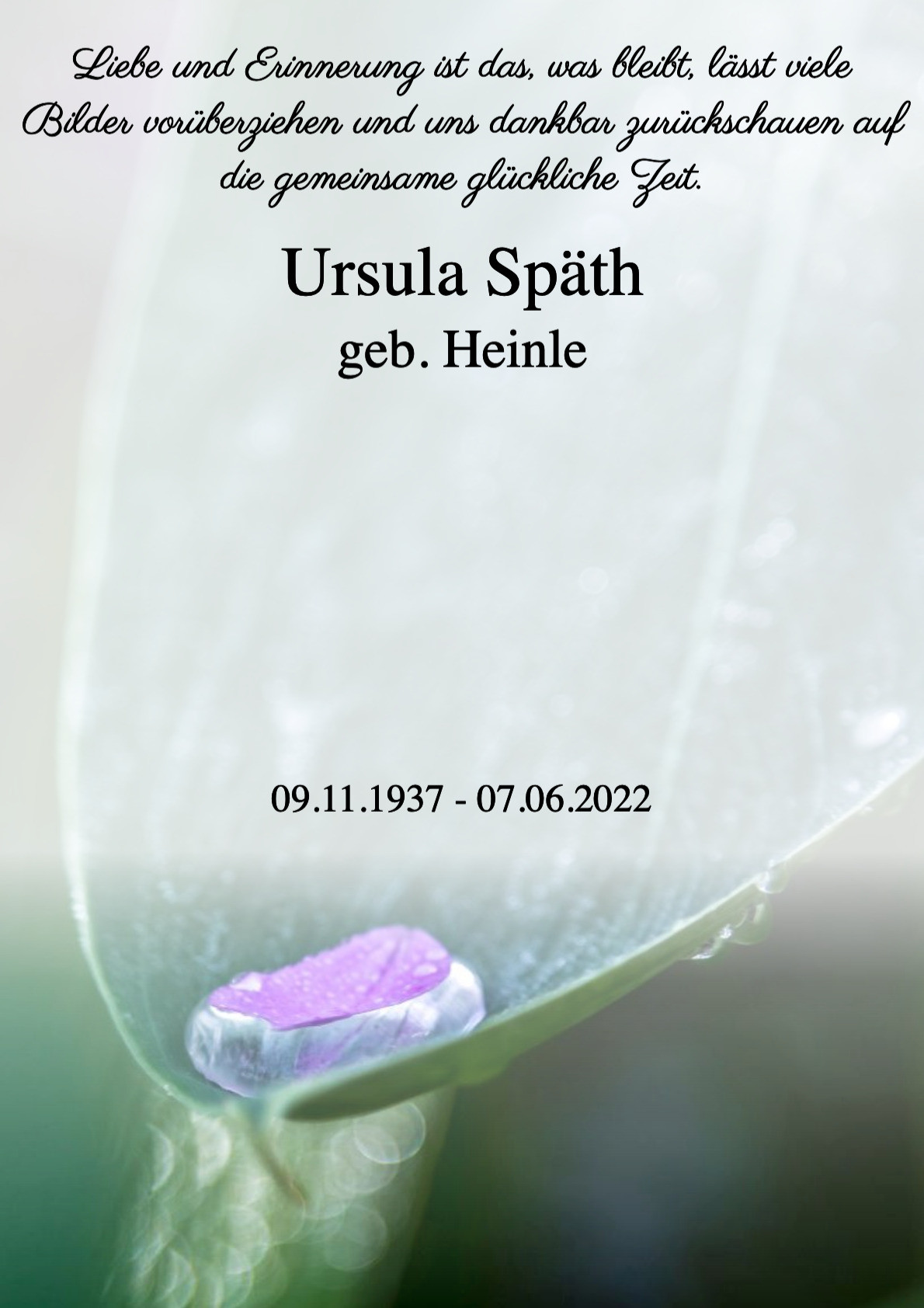 Traueranzeige von Ursula Späth