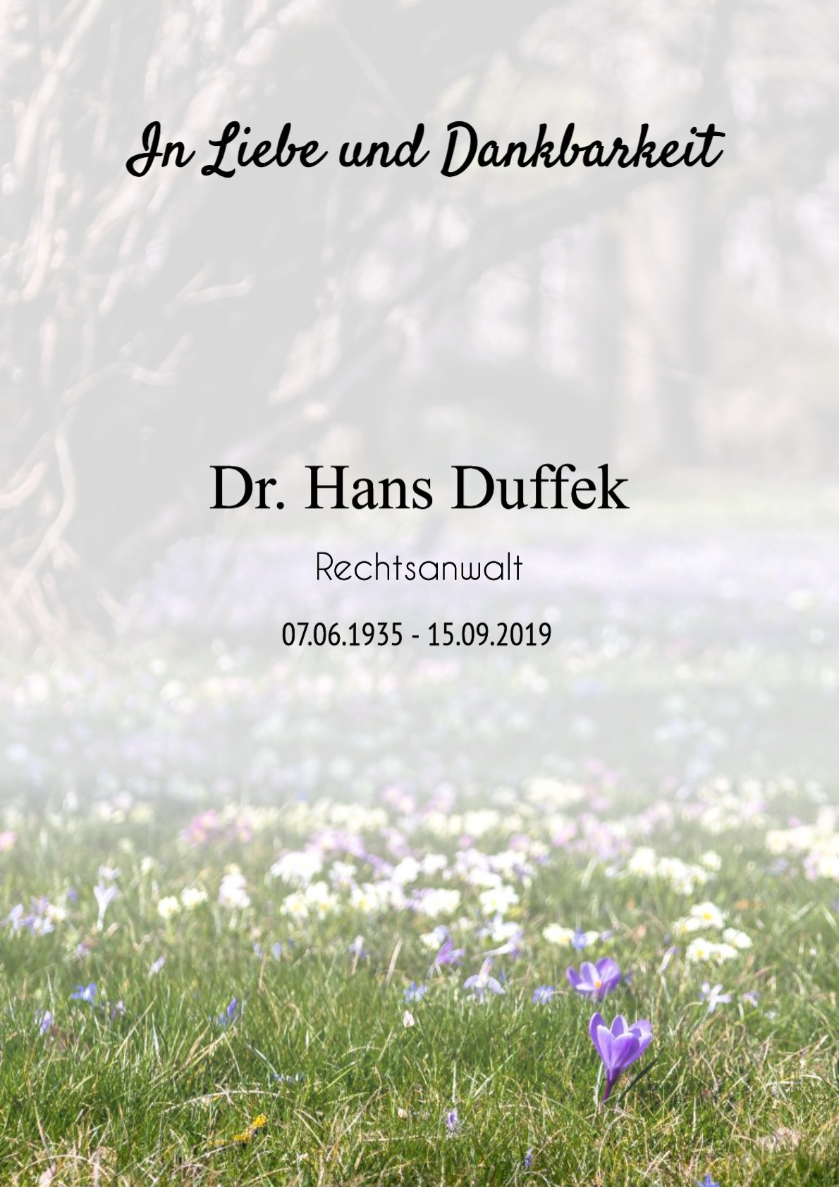 Traueranzeige von Dr. Hans Duffek