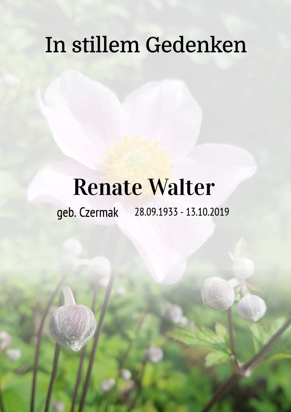 Traueranzeige von Renate Walter