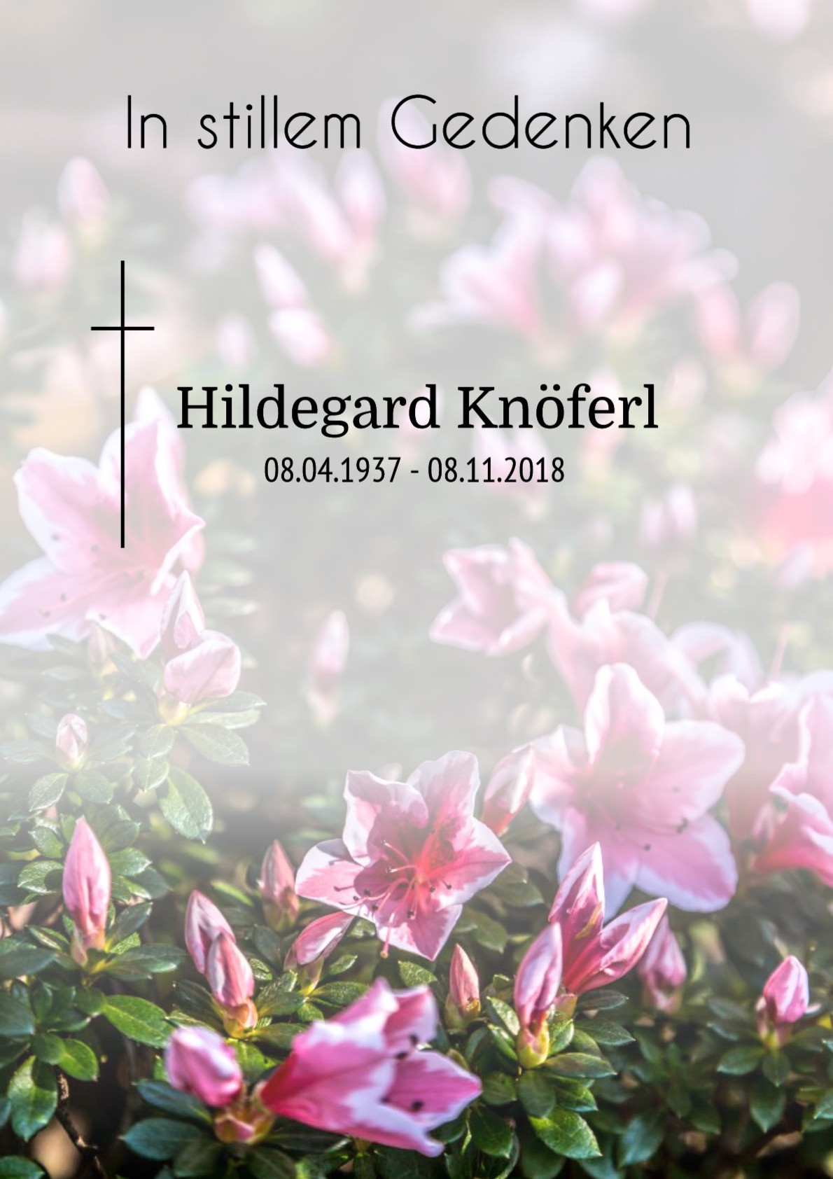 Traueranzeige von Hildegard Knöferl