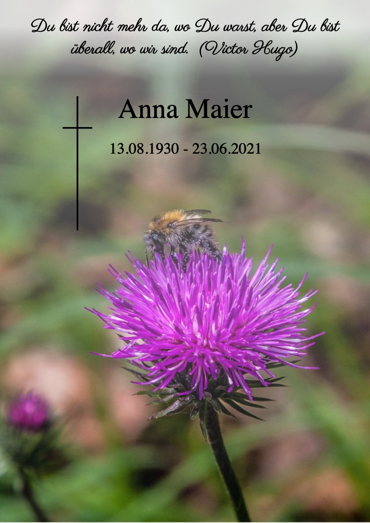 Traueranzeige von Anna Maier