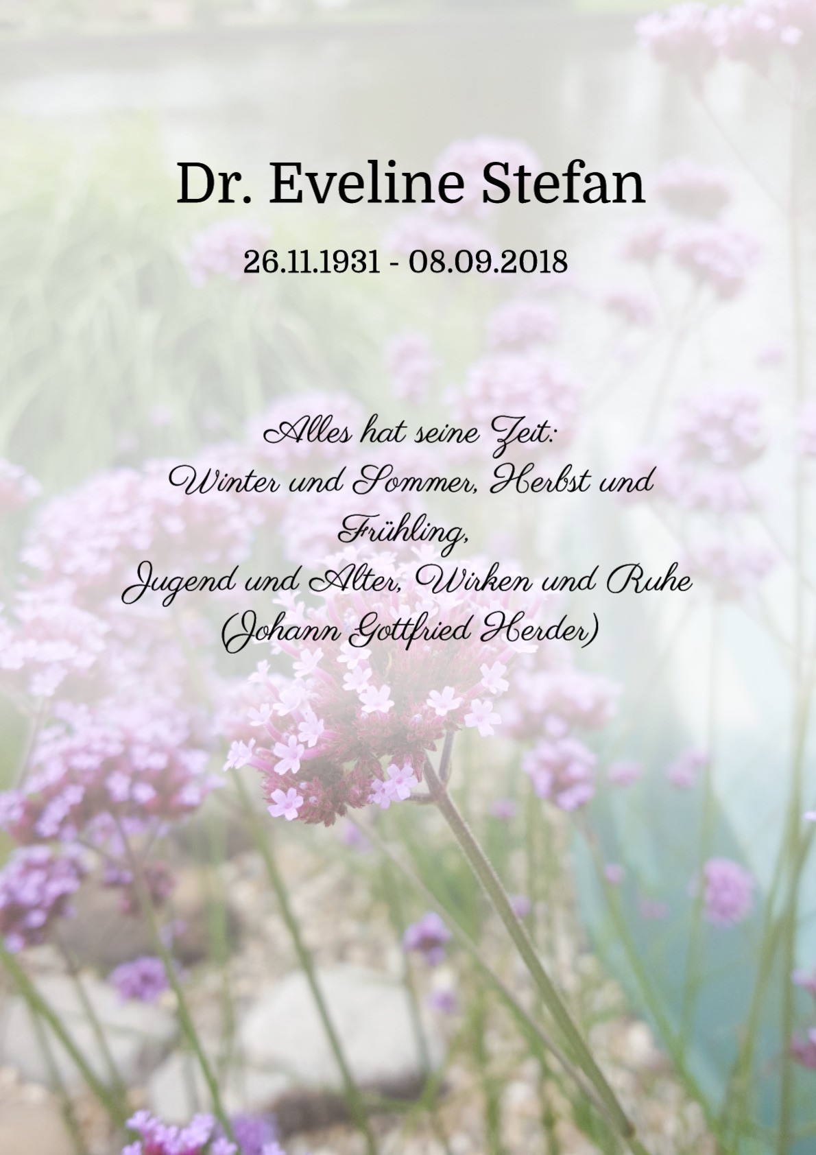 Traueranzeige von Dr. Eveline Stefan