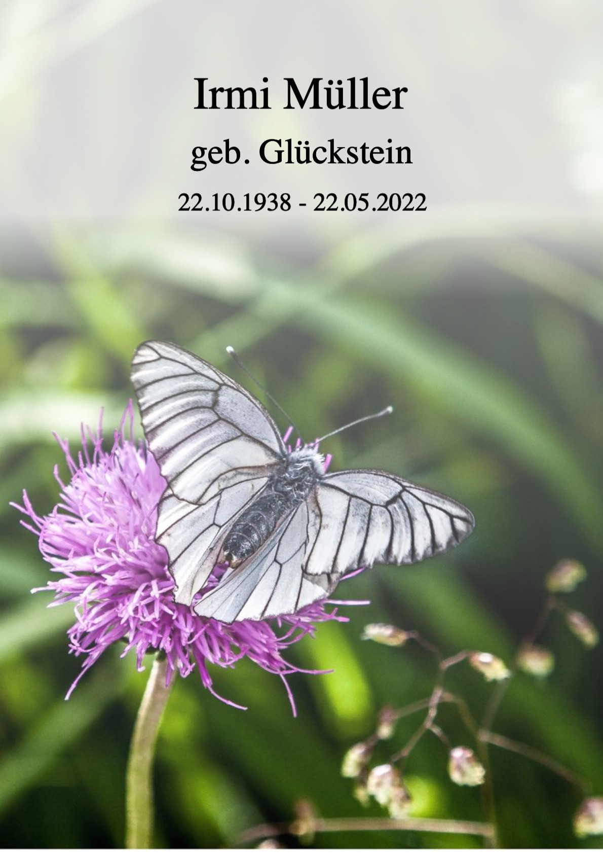 Traueranzeige von Irmi Müller