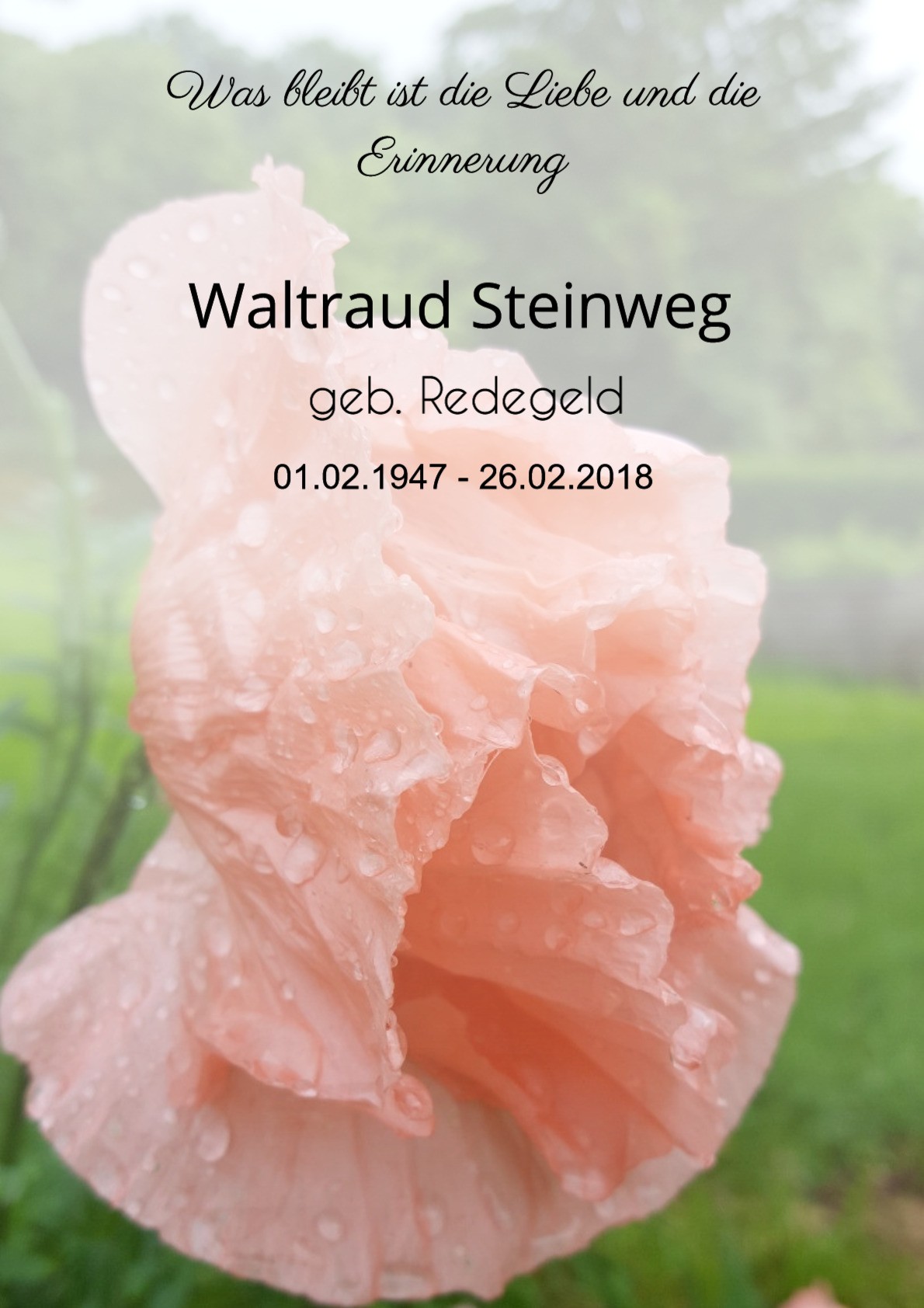 Traueranzeige von Waltraud Steinweg