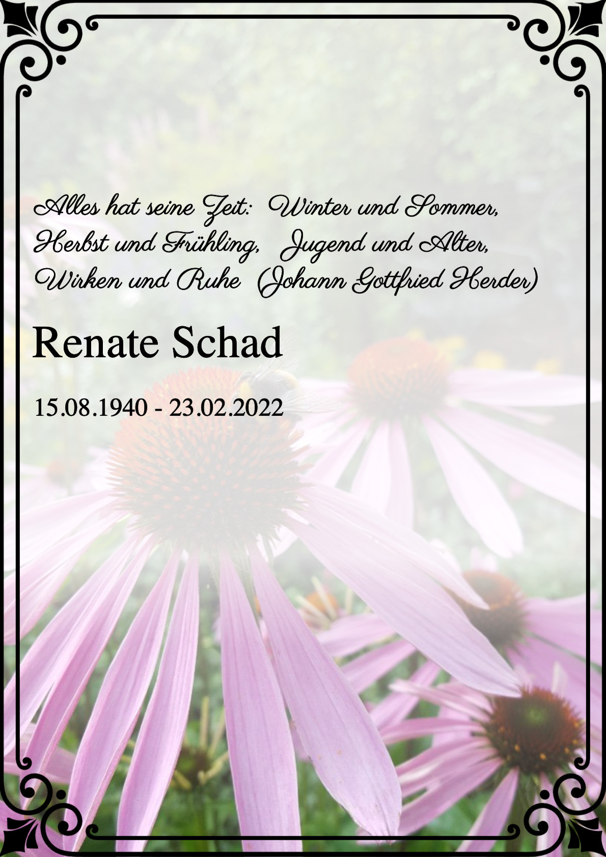 Traueranzeige von Renate Schad