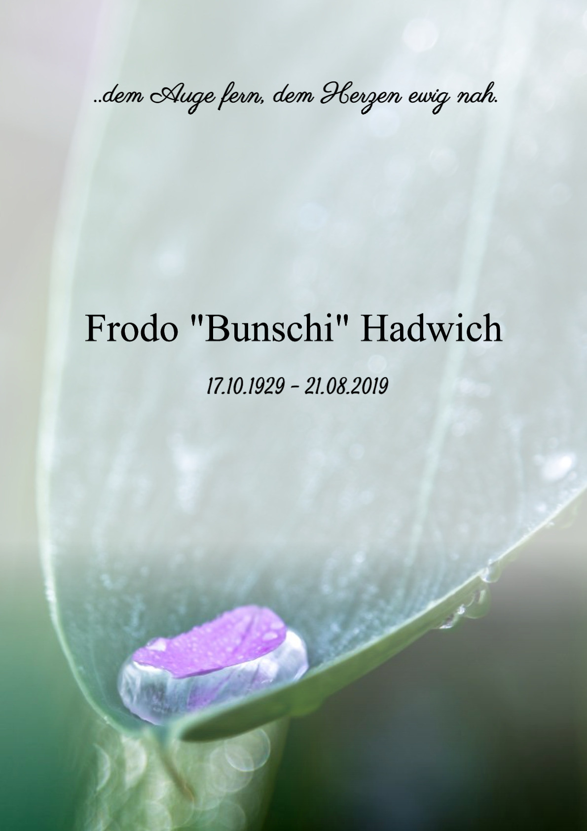 Traueranzeige von Frodo "Bunschi" Hadwich