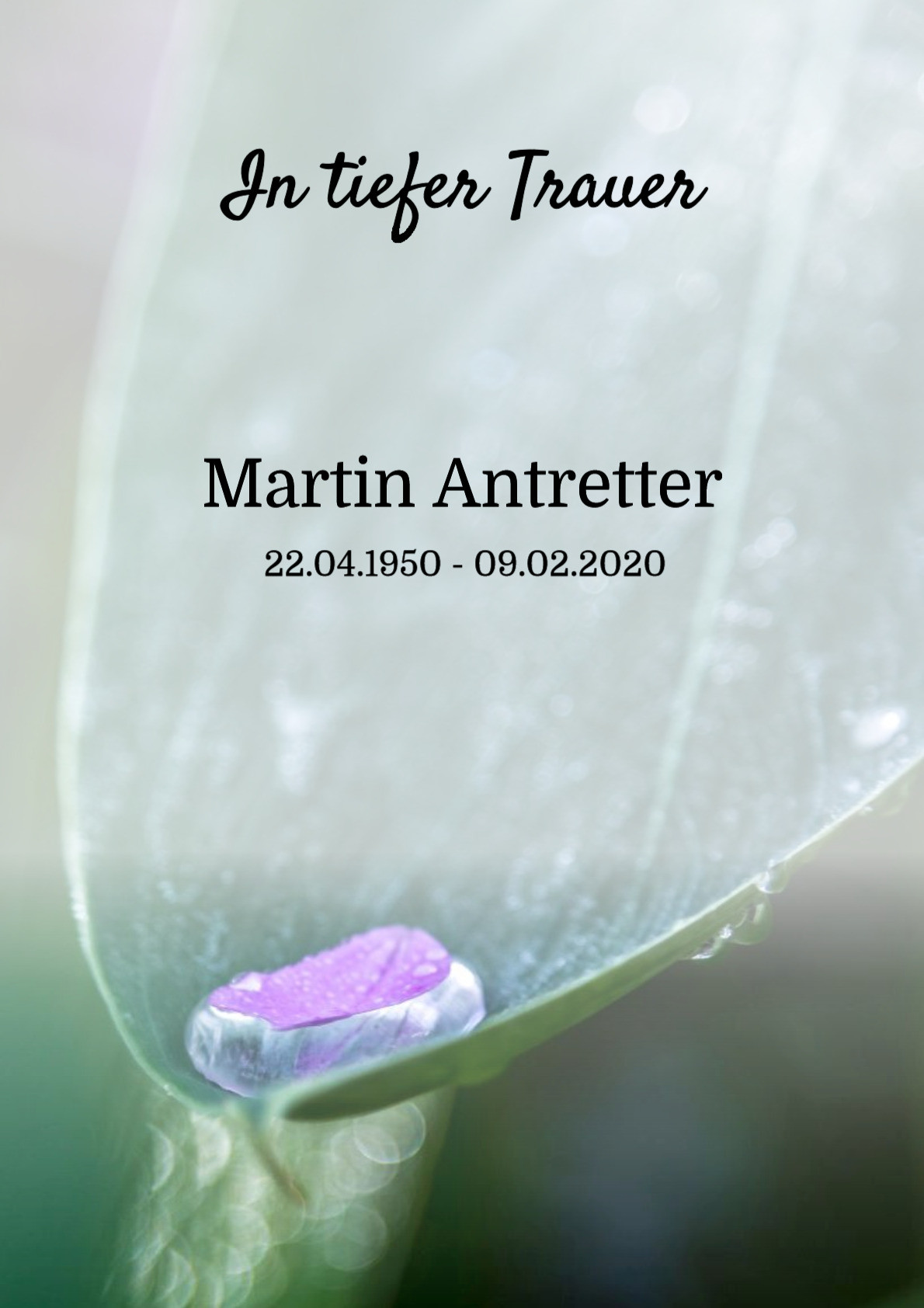 Traueranzeige von Martin Antretter