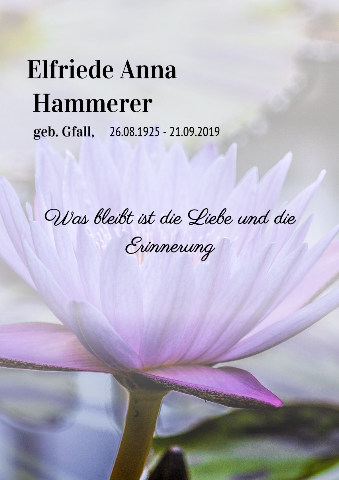 Traueranzeige von Elfriede Anna Hammerer