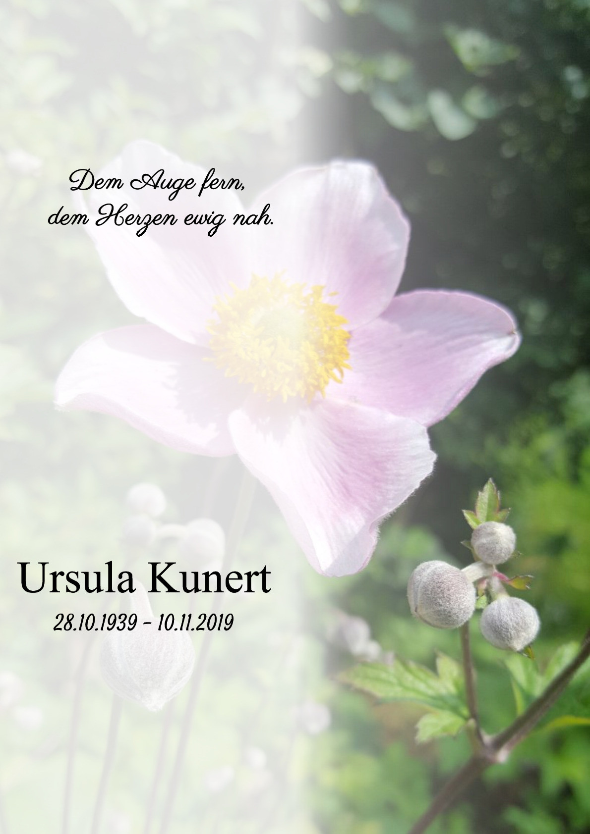 Traueranzeige von Ursula Kunert