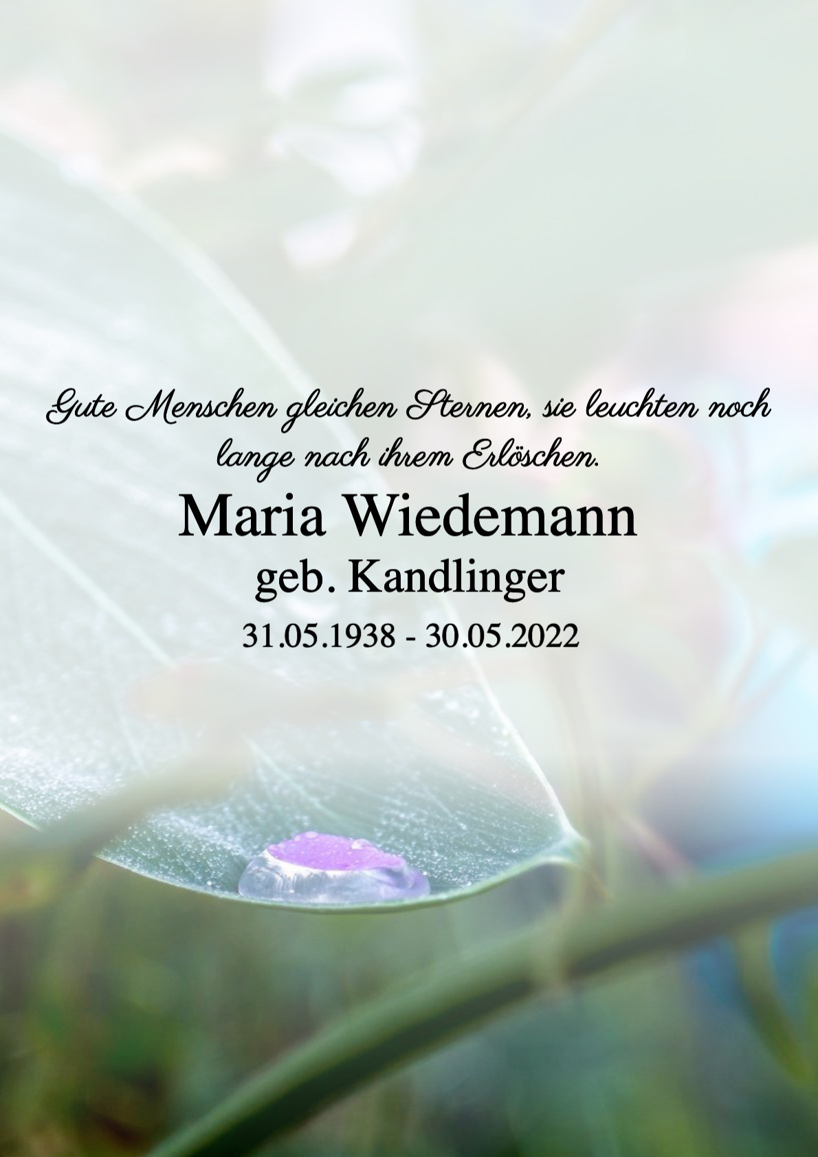 Traueranzeige von Maria Wiedemann