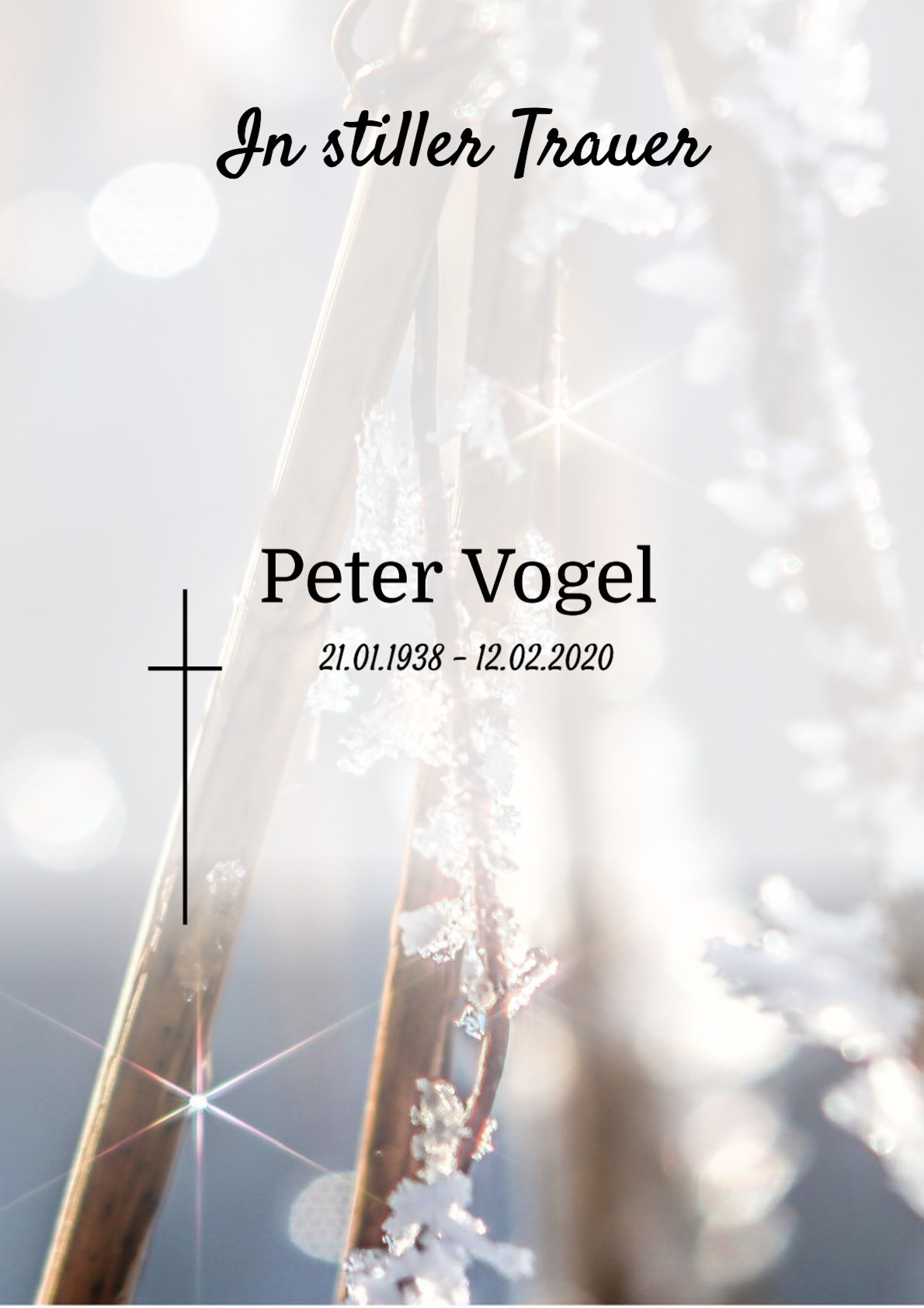 Traueranzeige von Peter Vogel