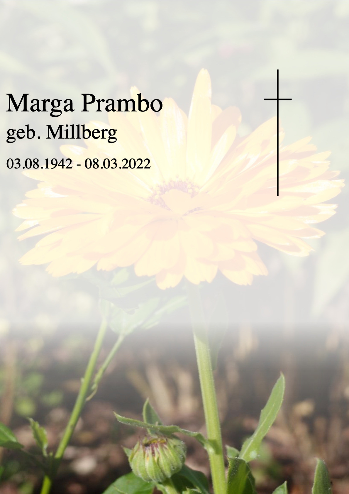 Traueranzeige von Marga Prambo