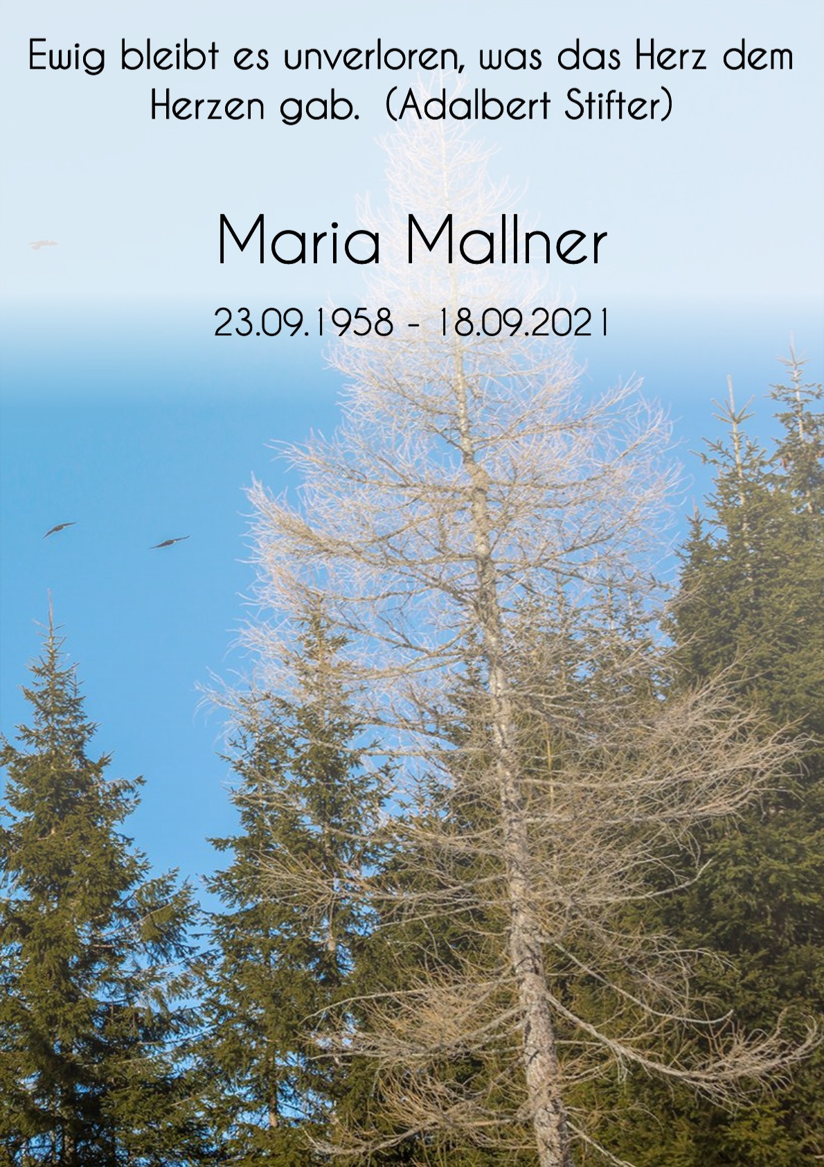 Traueranzeige von Maria Mallner