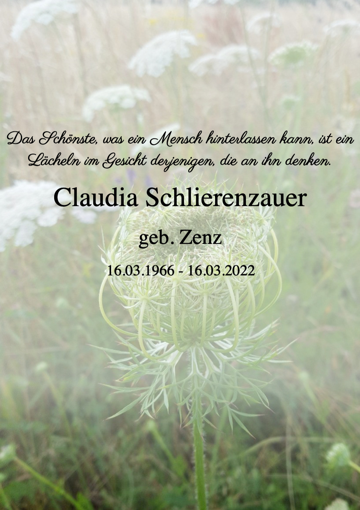 Traueranzeige von Claudia Schlierenzauer