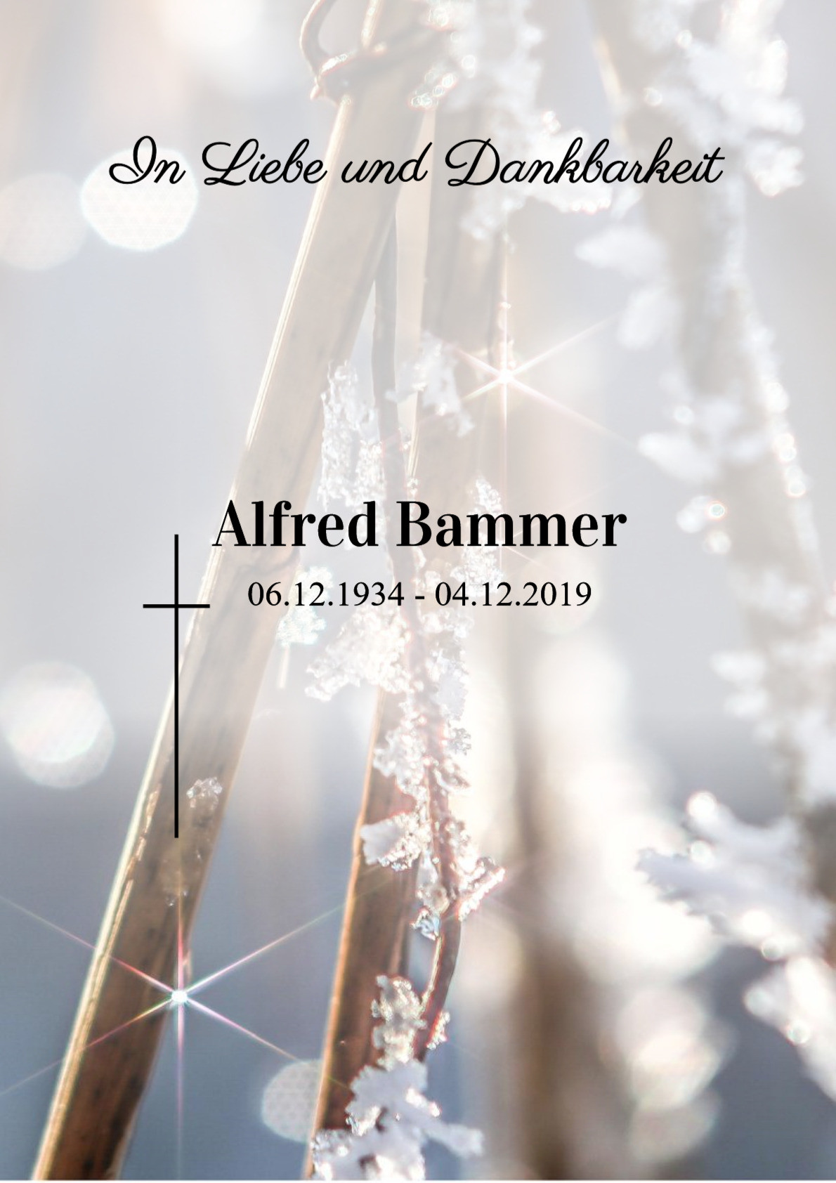 Traueranzeige von Alfred Bammer