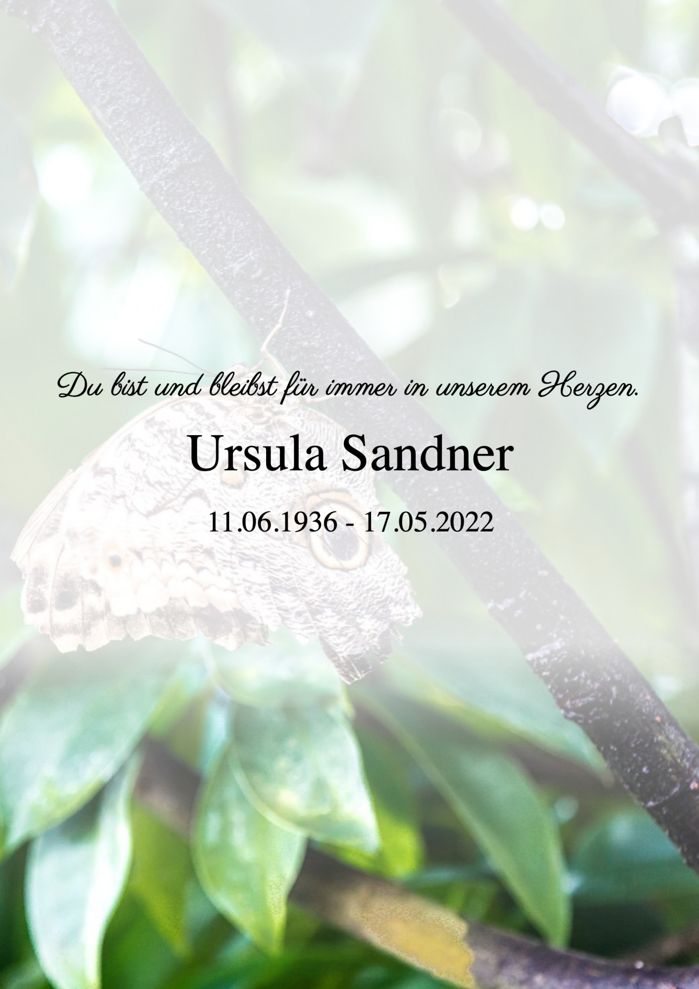 Traueranzeige von Ursula Sandner
