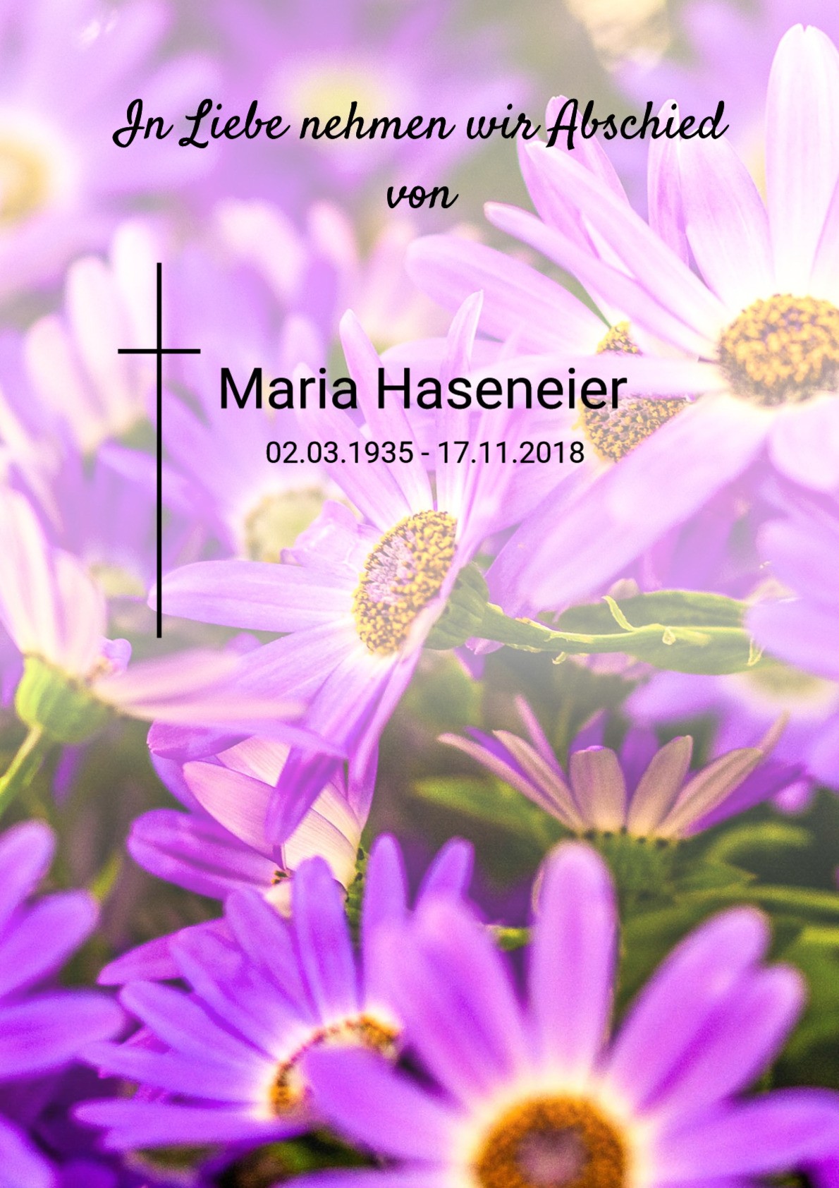 Traueranzeige von Maria Haseneier