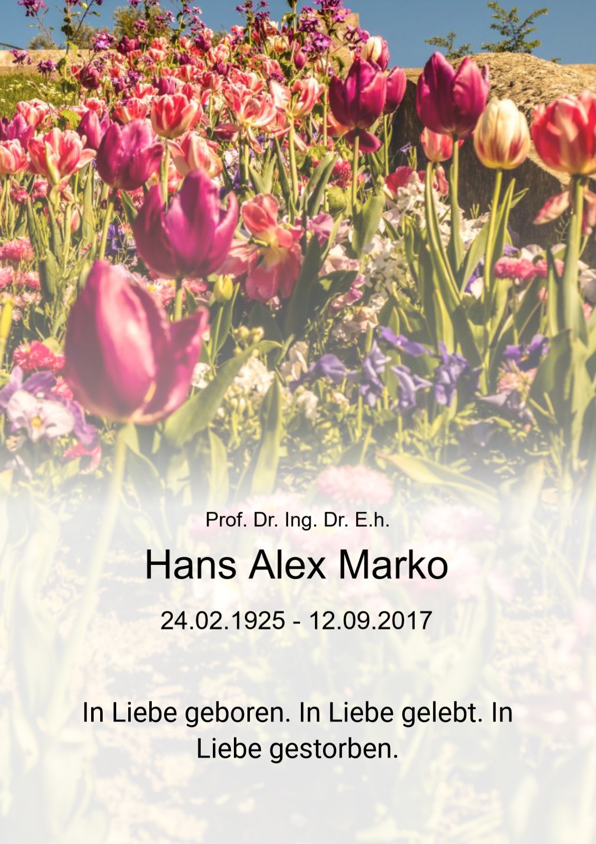 Traueranzeige von Prof. Dr. Ing. Dr. E.h. Hans Alex Marko