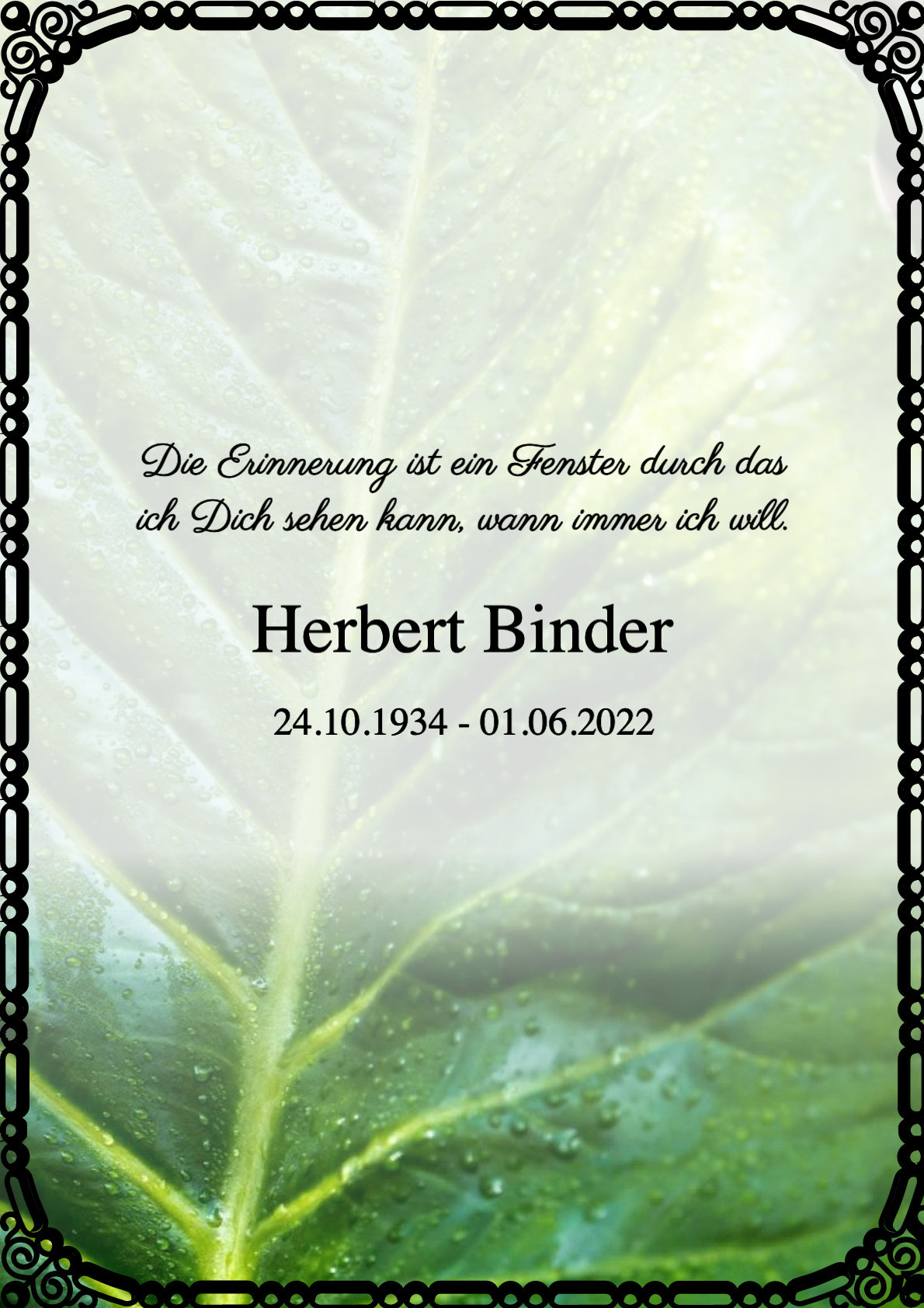 Traueranzeige von Herbert Binder