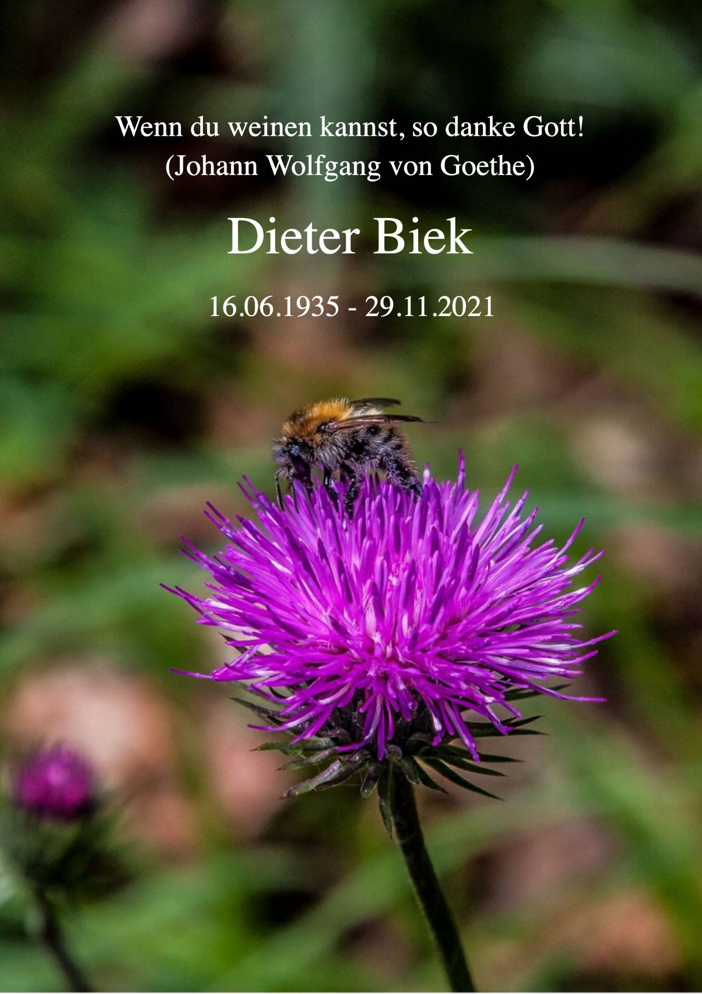 Traueranzeige von Dieter Biek