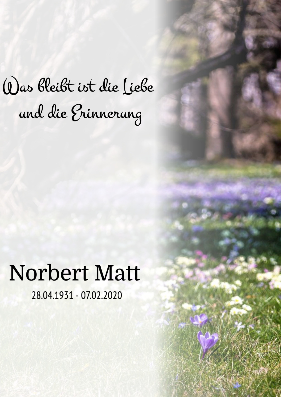 Traueranzeige von Norbert Matt