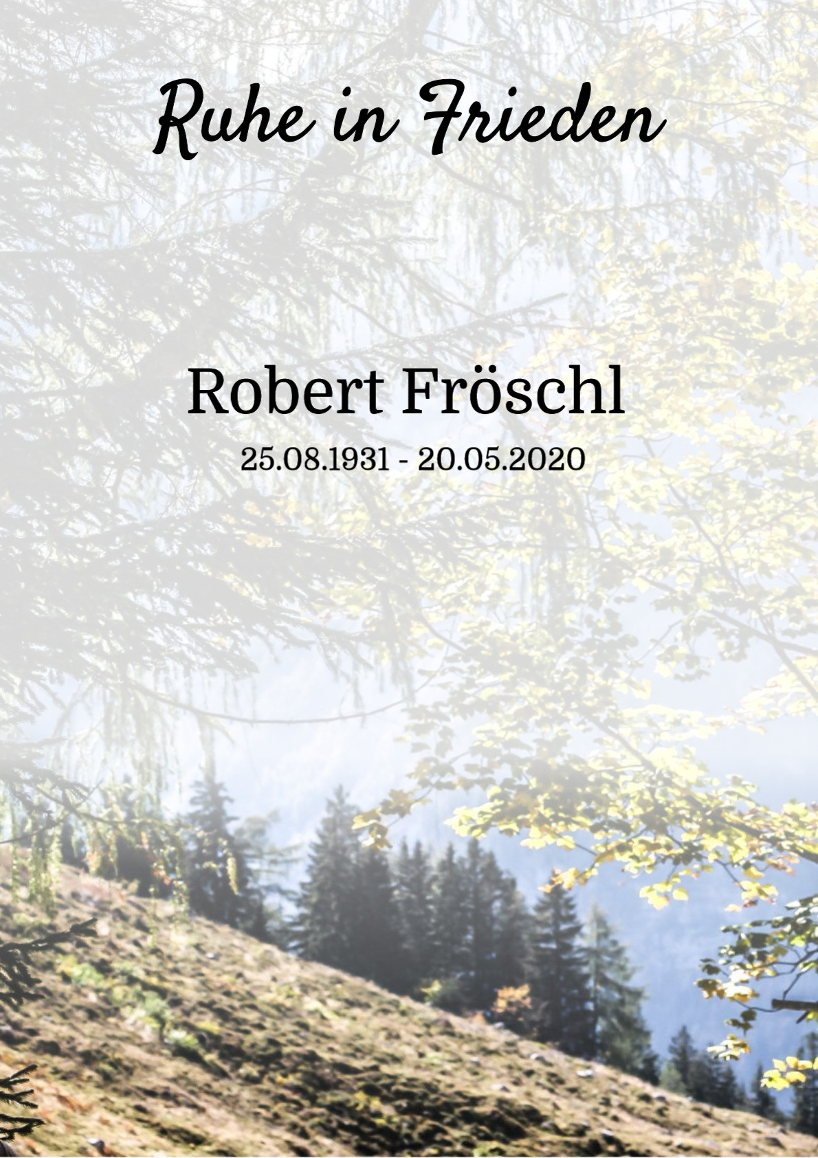 Traueranzeige von Robert Fröschl