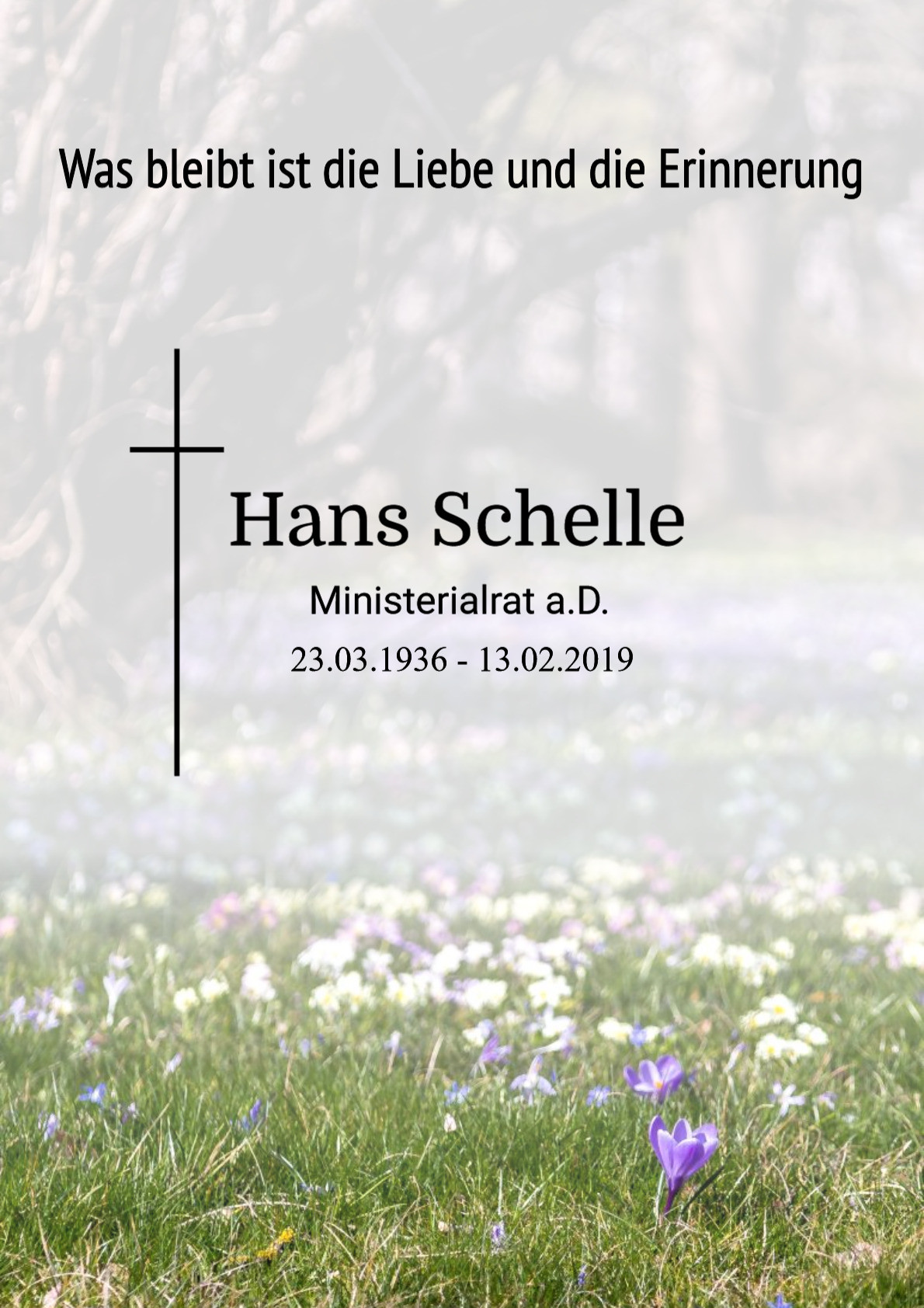 Traueranzeige von Hans Schelle