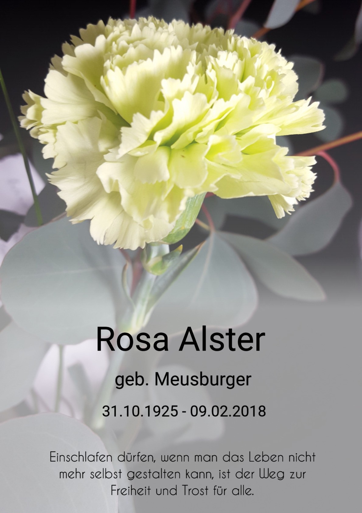 Traueranzeige von Rosa Alster