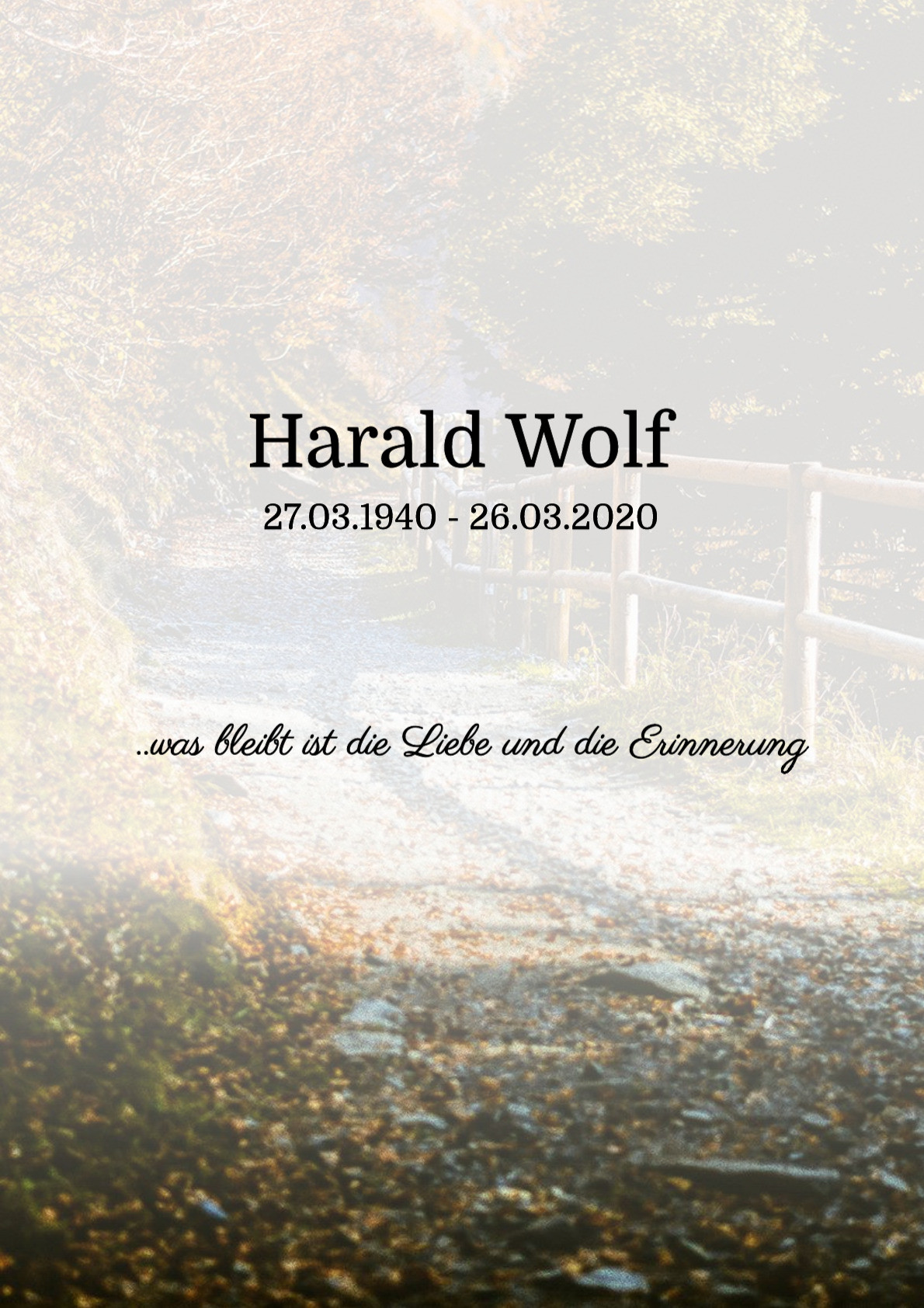 Traueranzeige von Harald Wolf